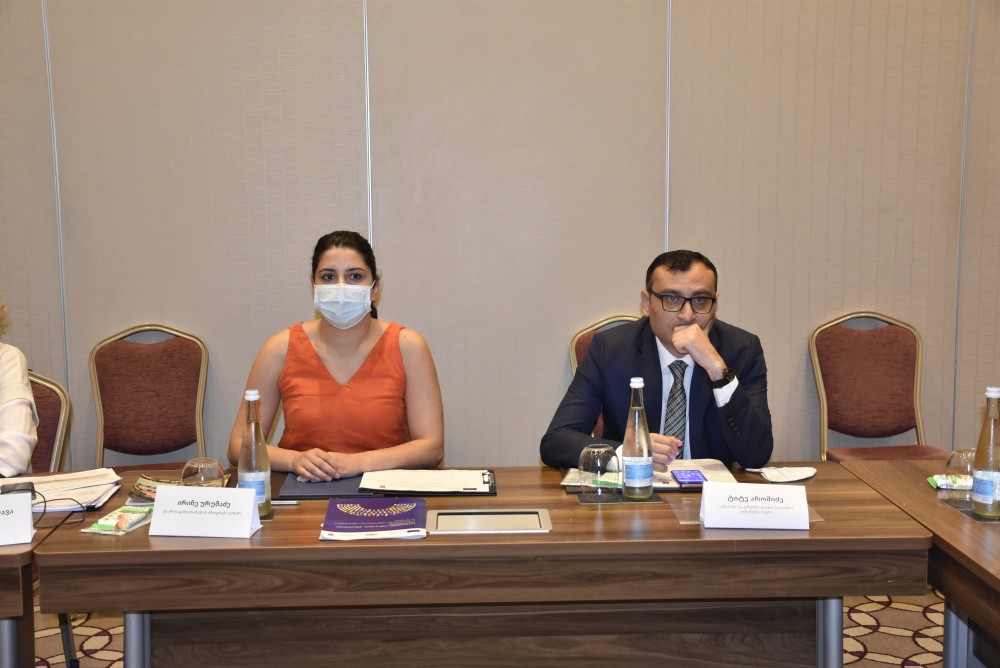 კომიტეტების სამოქმედო გეგმების განხილვა