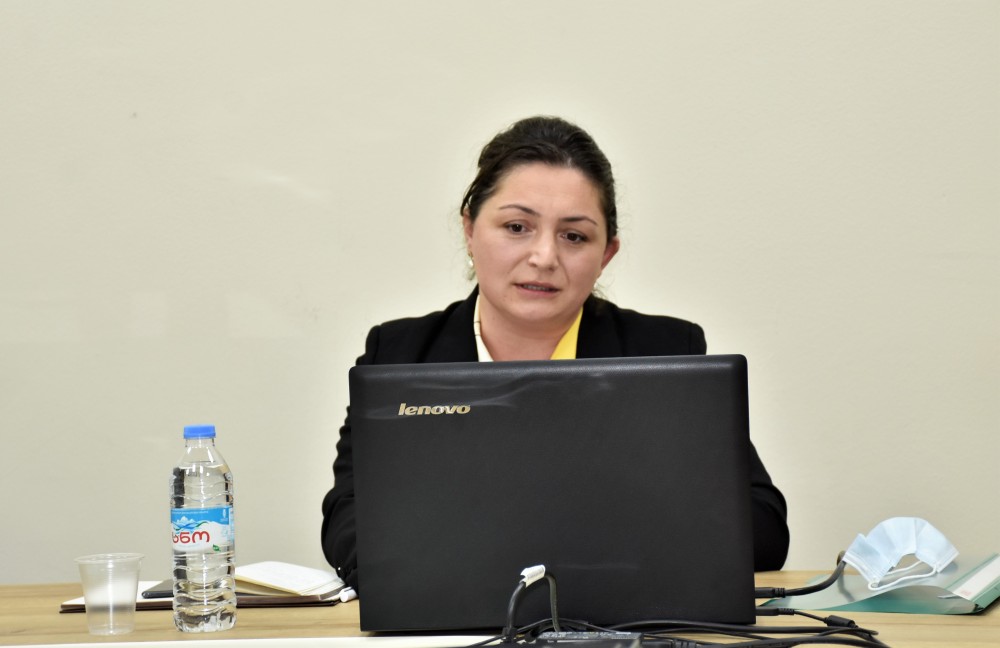 საფინანსო-საბიუჯეტო და ეკონომიკურ საკითხთა კომიტეტის სხდომა