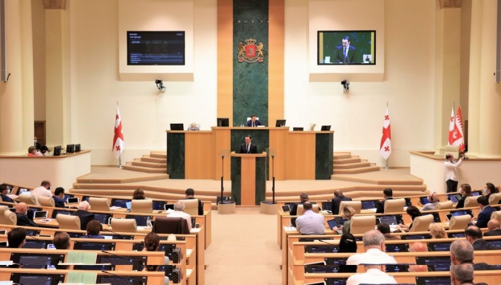 დავით გაბაიძე საქართველოს პარლამენტში