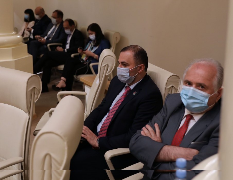 დავით გაბაიძე საქართველოს პარლამენტში