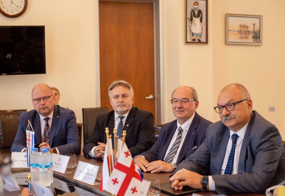 დავით გაბაიძემ ქვემო სილეზიის სავოევოდოს ოფიციალურ დელეგაციას უმასპინძლა