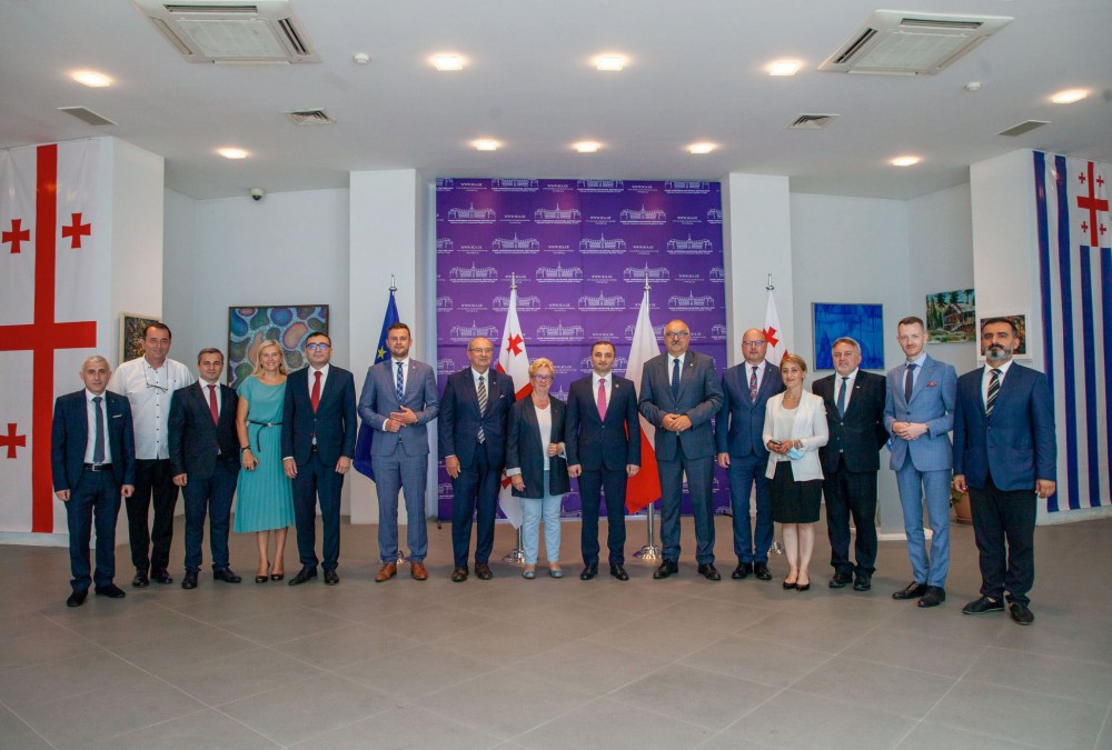 დავით გაბაიძემ ქვემო სილეზიის სავოევოდოს ოფიციალურ დელეგაციას უმასპინძლა