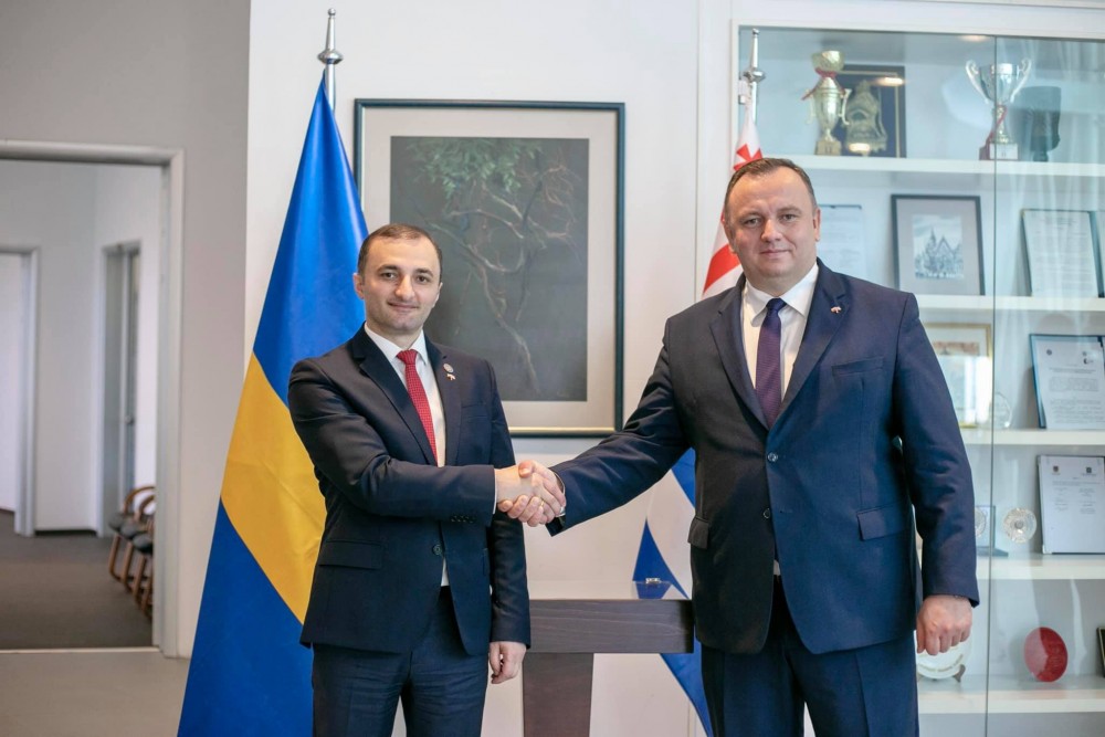 დავით გაბაიძემ პოლონეთის რესპუბლიკის სილეზიის სავოევოდოს დელეგაციას უმასპინძლა