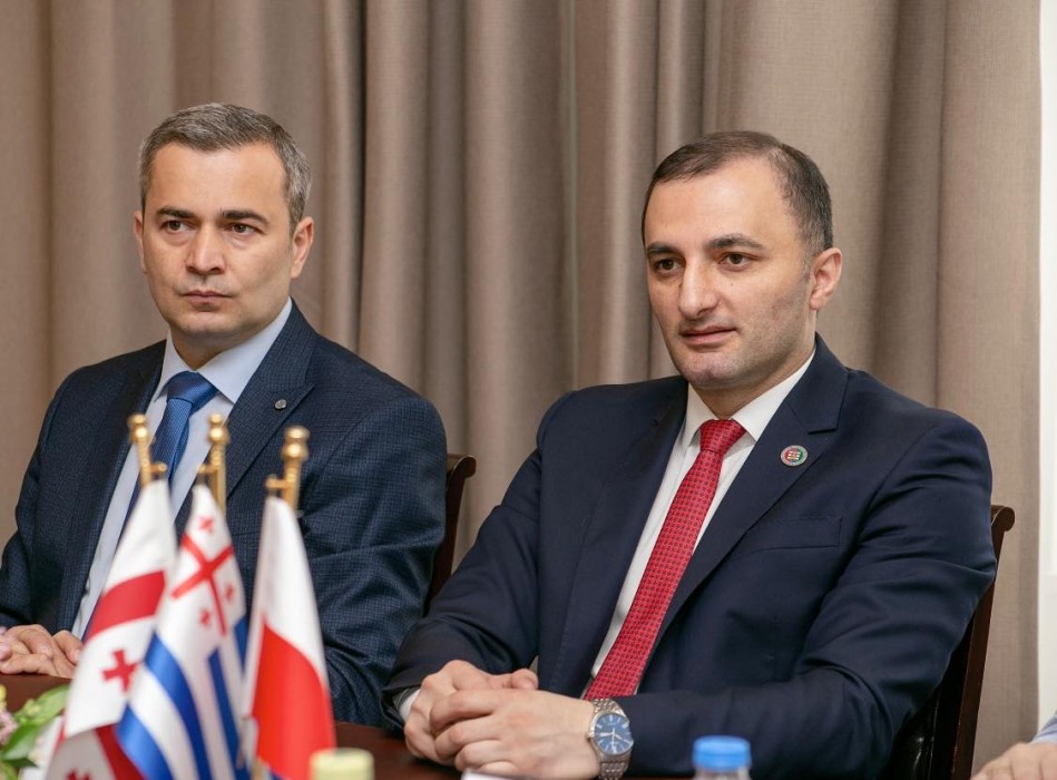 დავით გაბაიძემ პოლონეთის რესპუბლიკის სილეზიის სავოევოდოს დელეგაციას უმასპინძლა