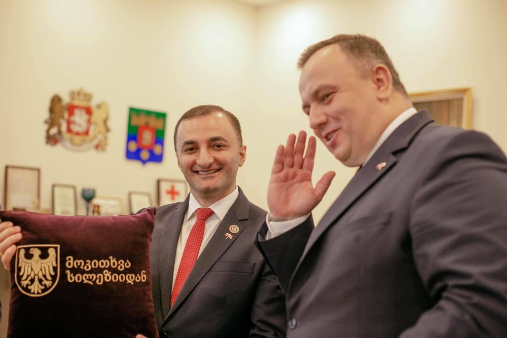 დავით გაბაიძემ პოლონეთის რესპუბლიკის სილეზიის სავოევოდოს დელეგაციას უმასპინძლა