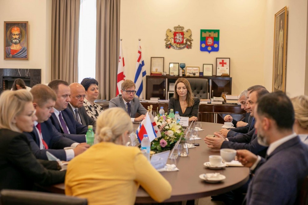 დავით გაბაიძემ პოლონეთის რესპუბლიკის სილეზიის სავოევოდოს დელეგაციას უმასპინძლა