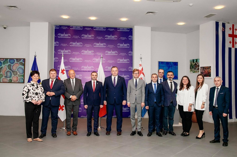 დავით გაბაიძემ პოლონეთის რესპუბლიკის სილეზიის სავოევოდოს დელეგაციას უმასპინძლა