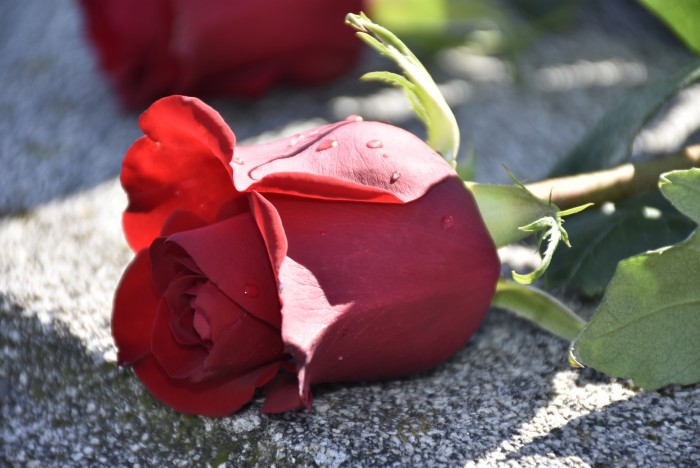 28 წელი სოხუმის დაცემიდან!