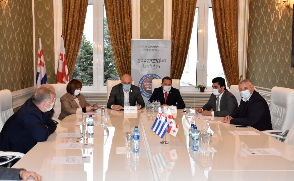 ორი კომიტეტის ერთობლივი გასვლითი სხდომა