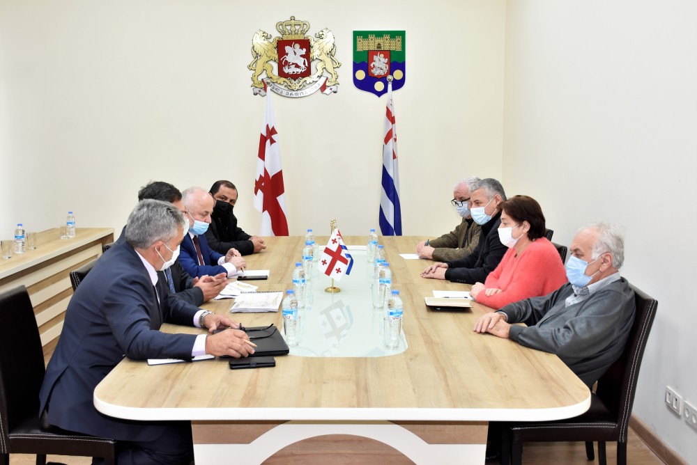 სამუშაო შეხვედრა აგრარულ და გარემოს დაცვის საკითხთა კომიტეტში