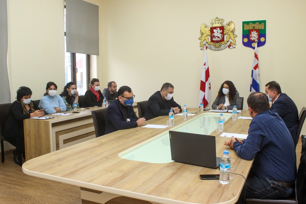 საფინანსო-საბიუჯეტო და ეკონომიკურ საკითხთა კომიტეტის სხდომა