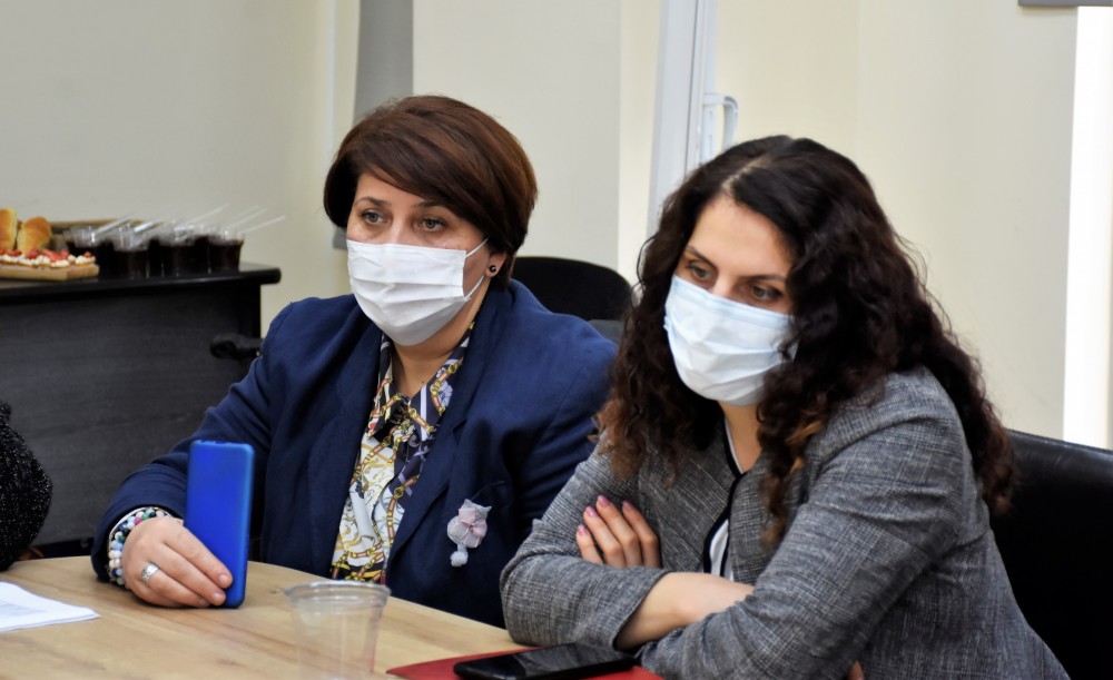 გენდერული თანასწორობის საბჭოს 2021-2023 წლების სამოქმედო გეგმის განხილვა