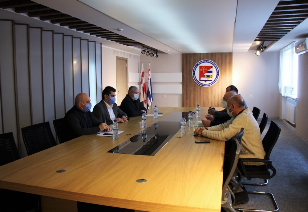 შეხვედრა ეკონომიკის ექსპერტებთან