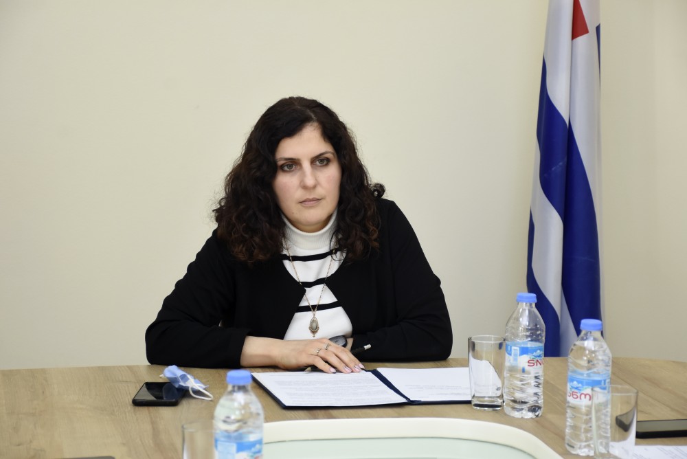 საფინანსო-საბიუჯეტო და ეკონომიკურ საკითხთა კომიტეტის სხდომა