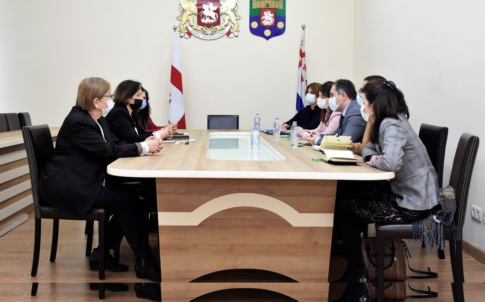 შეხვედრა USAID-ის სამართლის უზენაესობის პროგრამის წარმომადგენლებთან  გენდერული თანასწორობის საბჭოში