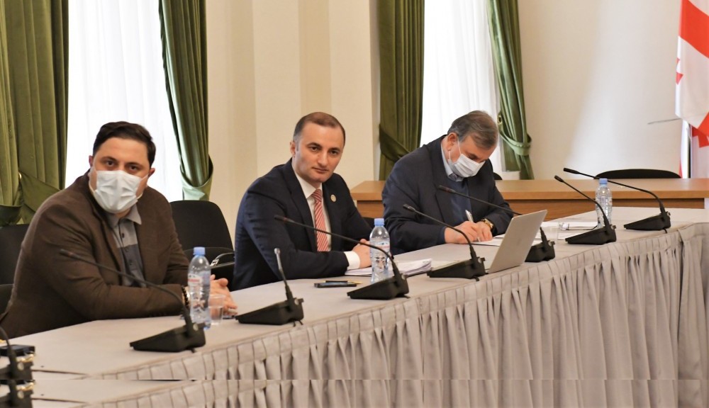 დავით გაბაიძემ საქართველოს პარლამენტის საფინანსო-საბიუჯეტო კომიტეტის სხდომაზე უმაღლესი საბჭოს მიერ მომზადებული საკანონმდებლო ინიციატივები წარადგინა