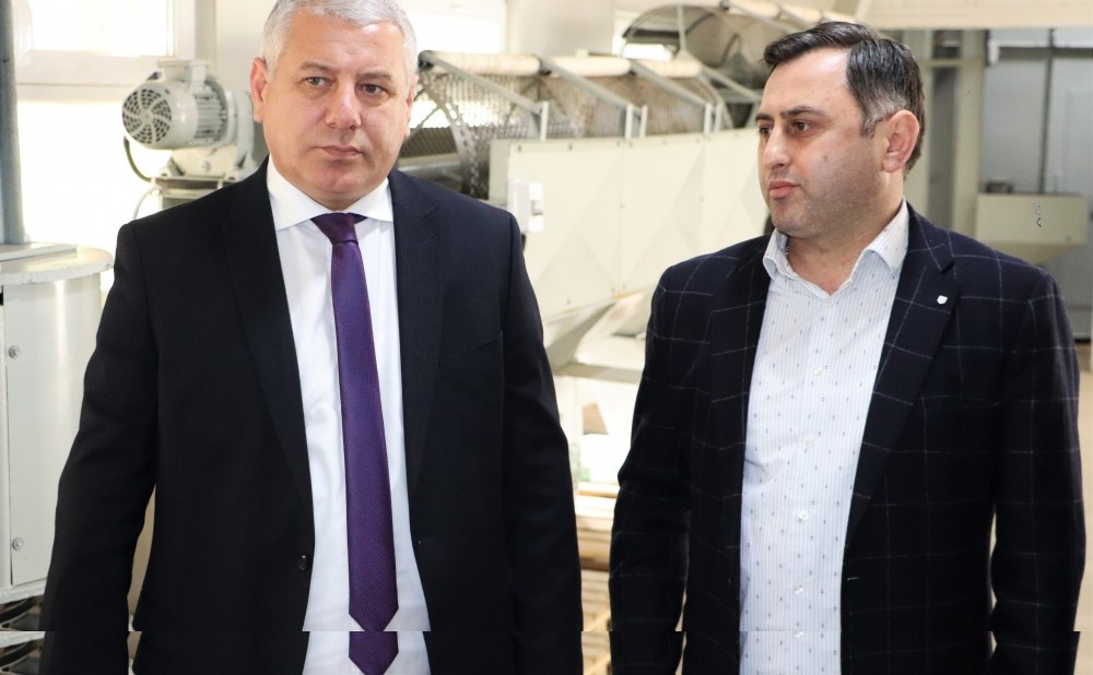 ფრიდონ ფუტკარაძემ სოფელ ძენწმანში თხილის მიმღებ-გადამამუშავებელი საწარმო დაათვალიერა