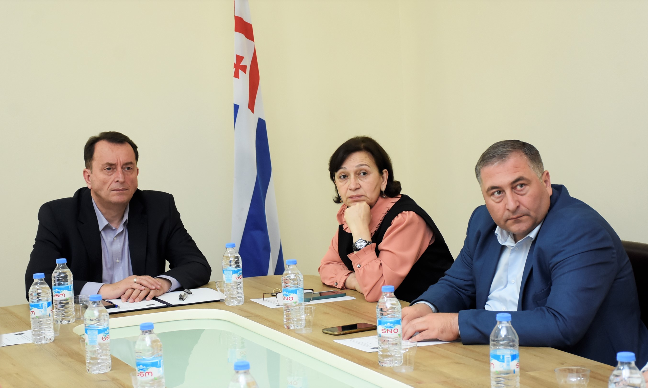 ჯანმრთელობის დაცვისა და სოციალურ საკითხთა კომიტეტის სხდომა