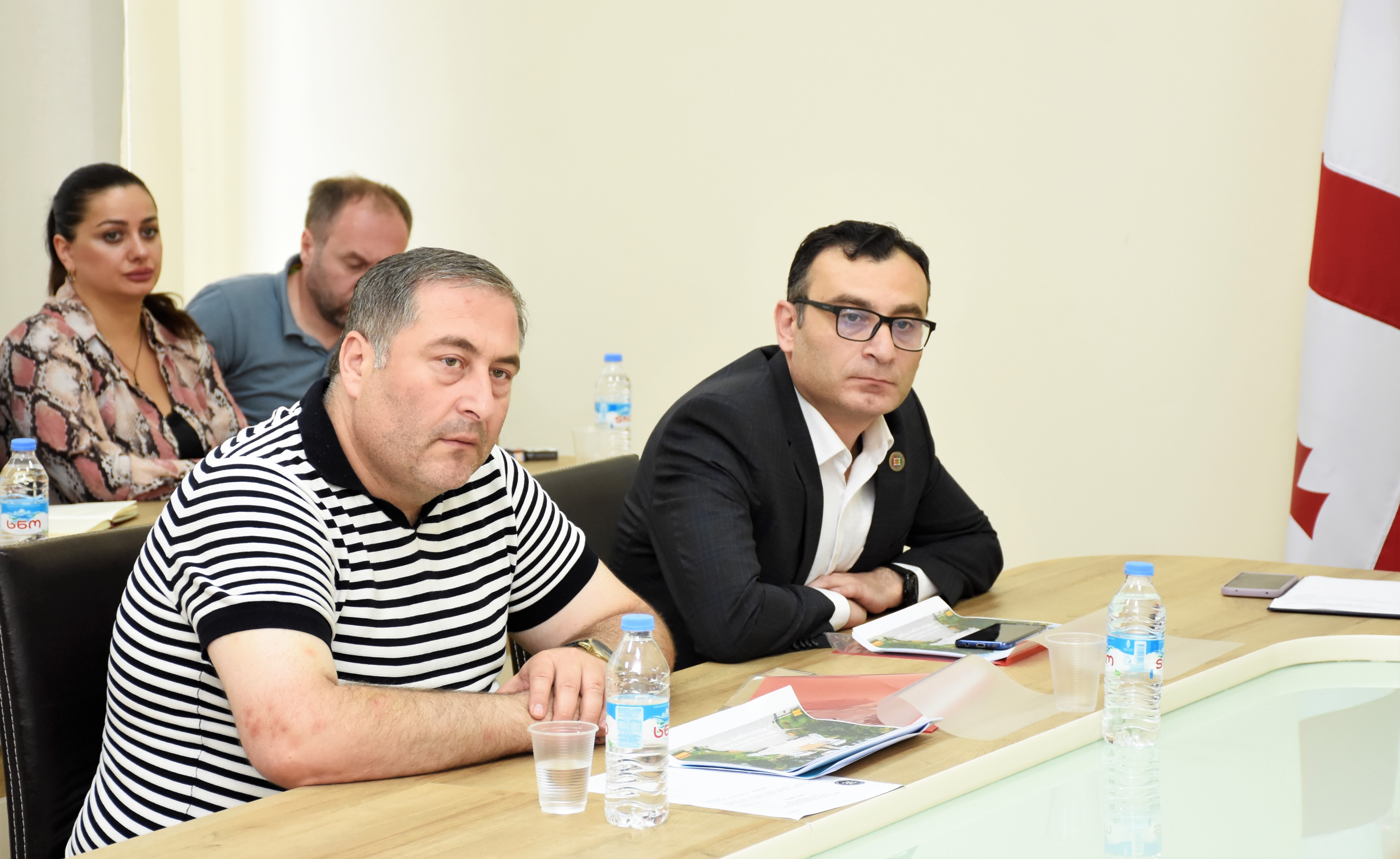  საფინანსო-საბიუჯეტო და ეკონომიკურ საკითხთა კომიტეტის სხდომაზე, სსიპ ,,ბათუმის ბულვარის“  2021 წლის საქმიანობის ანგარიში მოისმინეს