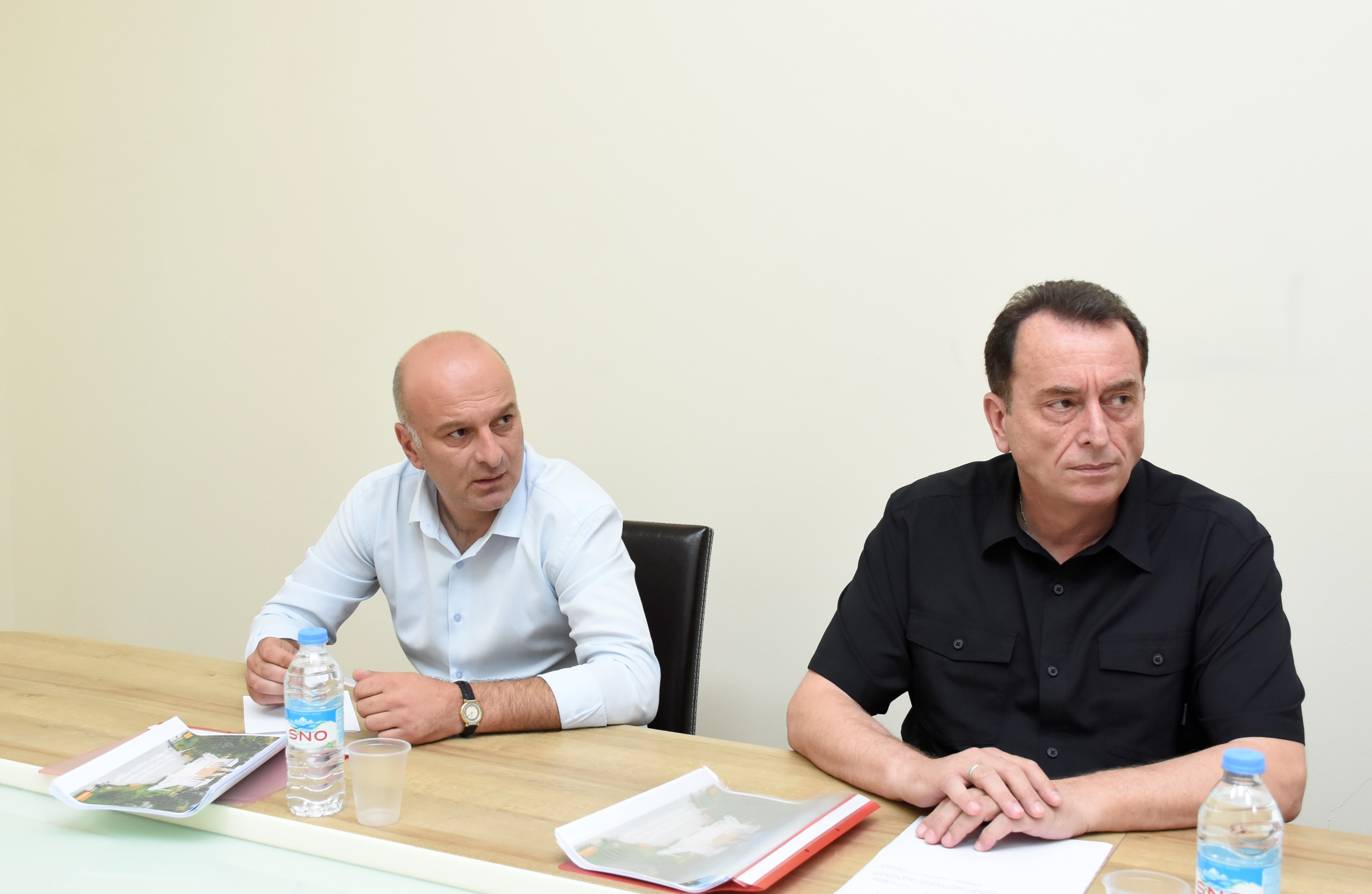  საფინანსო-საბიუჯეტო და ეკონომიკურ საკითხთა კომიტეტის სხდომაზე, სსიპ ,,ბათუმის ბულვარის“  2021 წლის საქმიანობის ანგარიში მოისმინეს