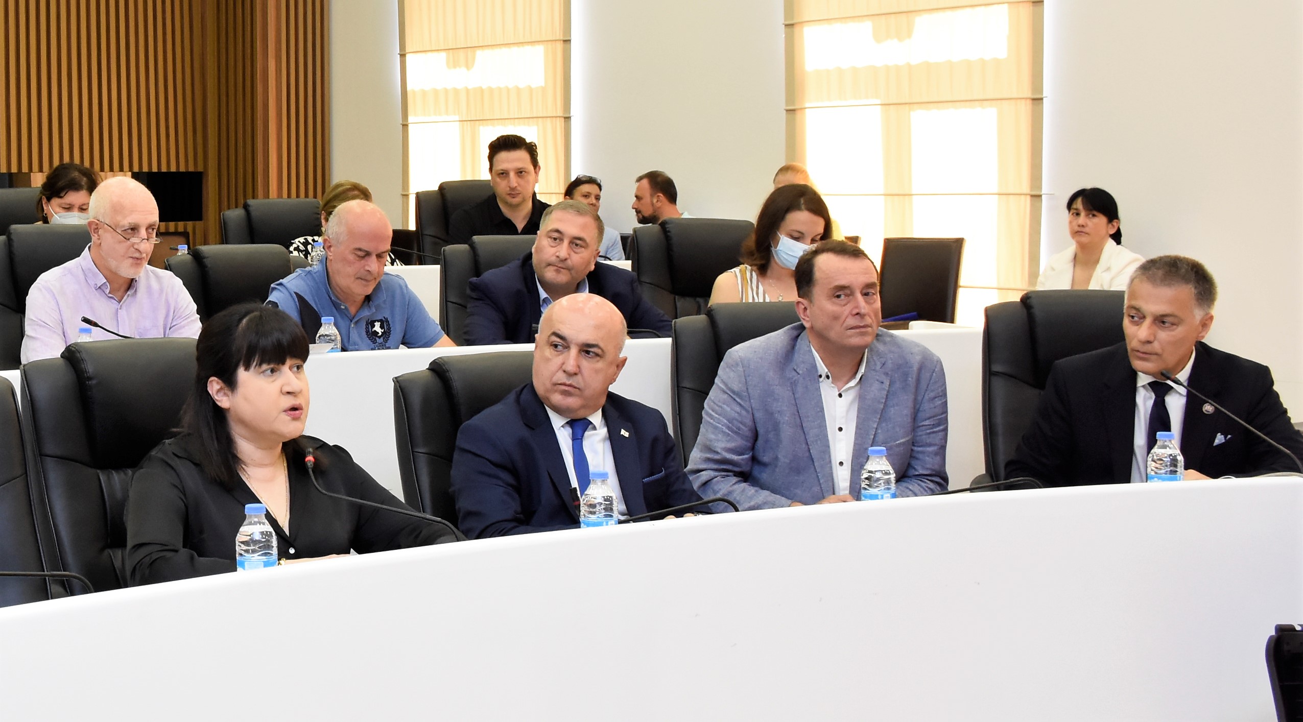 აჭარის უმაღლეს საბჭოში საქართველოს პარლამენტის ჯანმრთელობის დაცვისა და სოციალურ საკითხთა კომიტეტის ორდღიანი სამუშაო შეხვედრა გაიხსნა