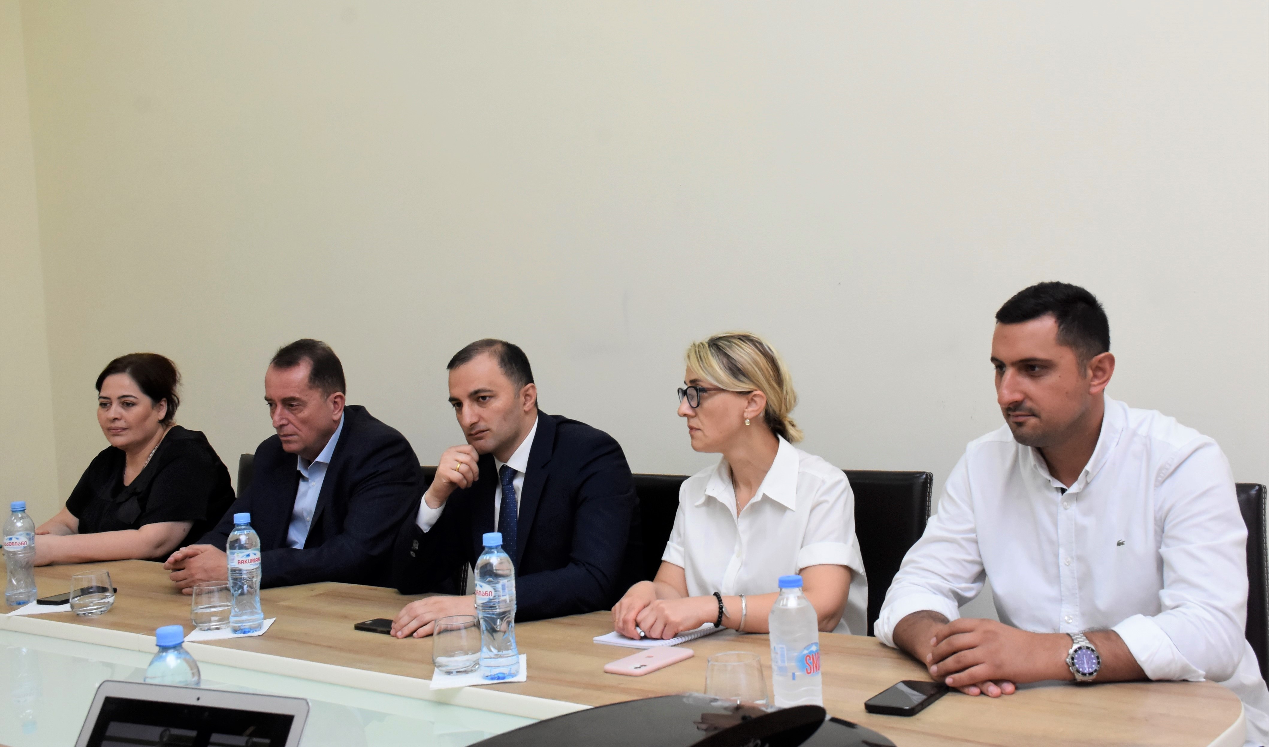 სამუშაო შეხვედრა მედიკოსებთან