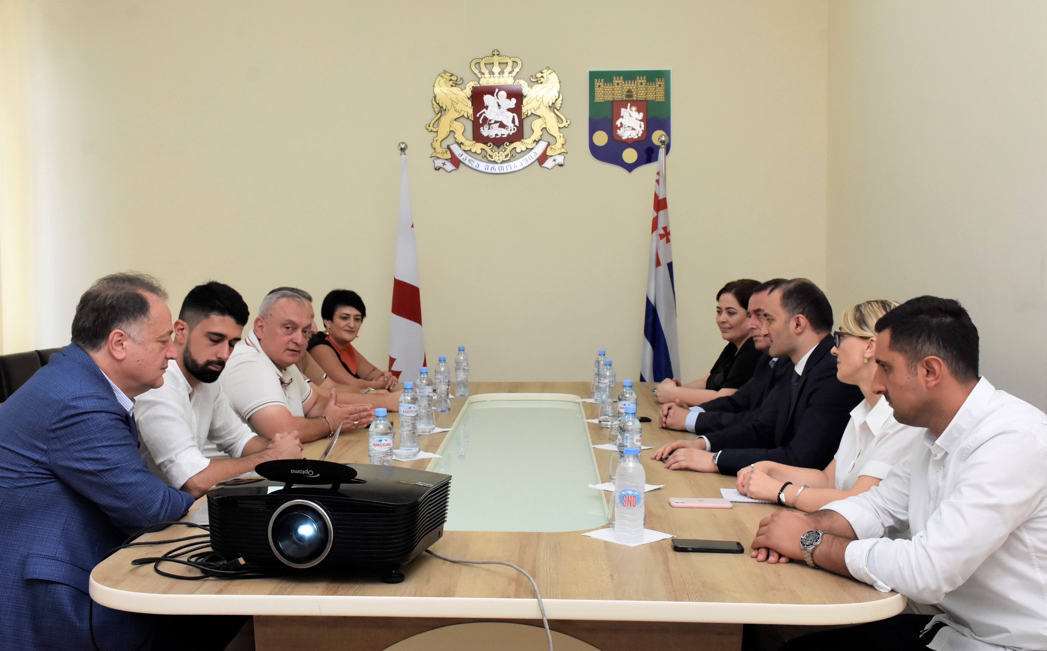 სამუშაო შეხვედრა მედიკოსებთან