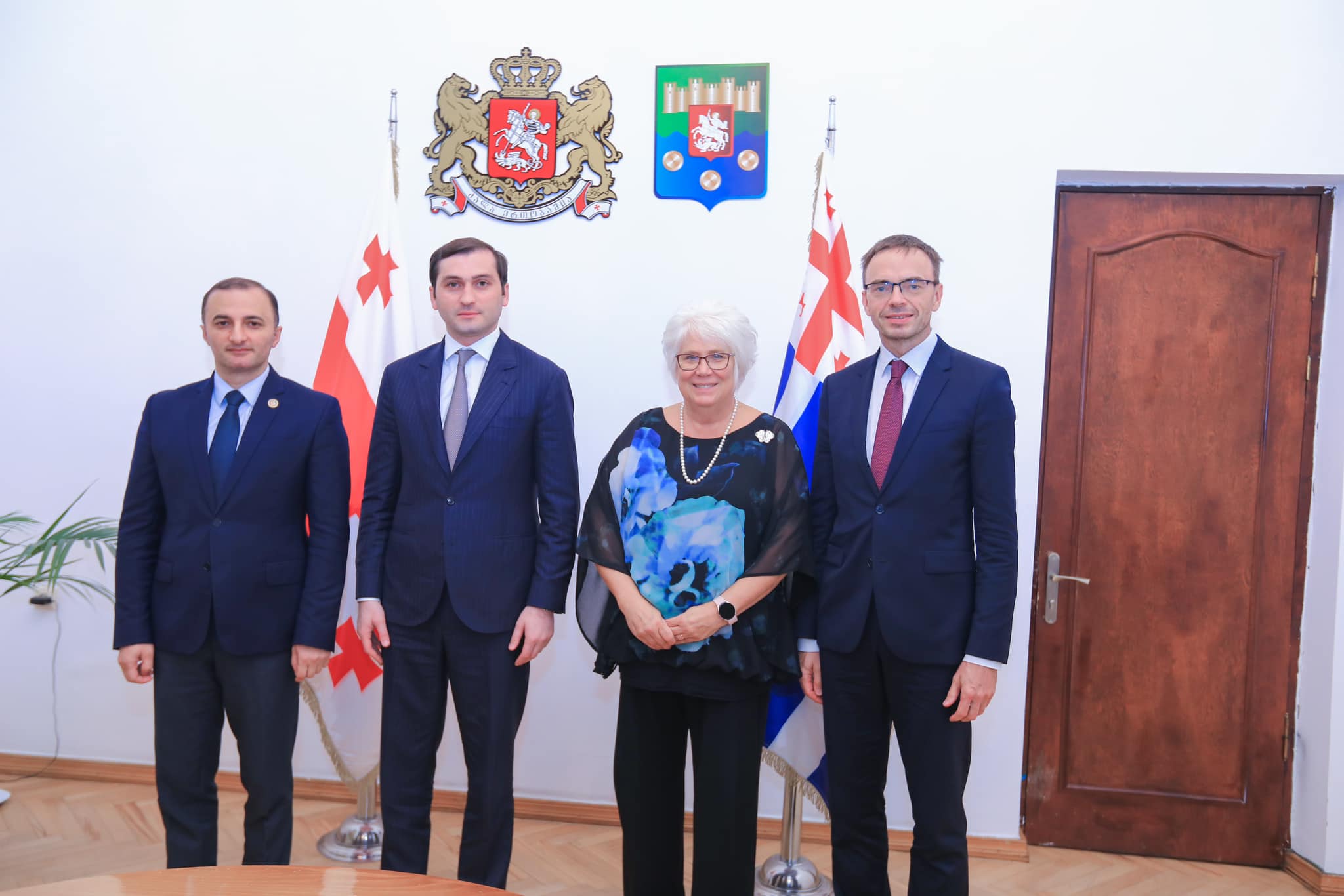 დავით გაბაიძე და თორნიკე რიჟვაძე ევროპარლამენტარებს შეხვდნენ