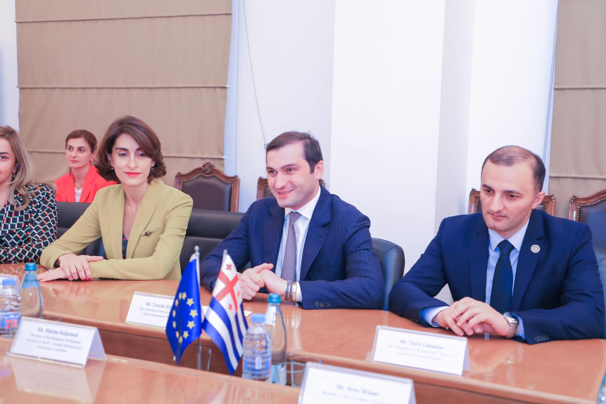 დავით გაბაიძე და თორნიკე რიჟვაძე ევროპარლამენტარებს შეხვდნენ