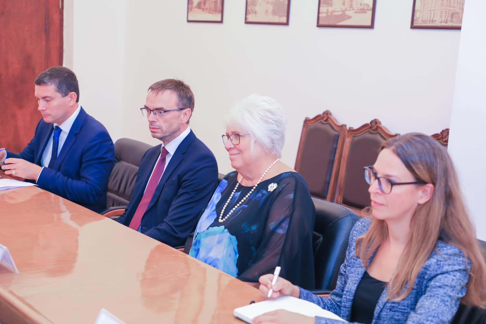 დავით გაბაიძე და თორნიკე რიჟვაძე ევროპარლამენტარებს შეხვდნენ