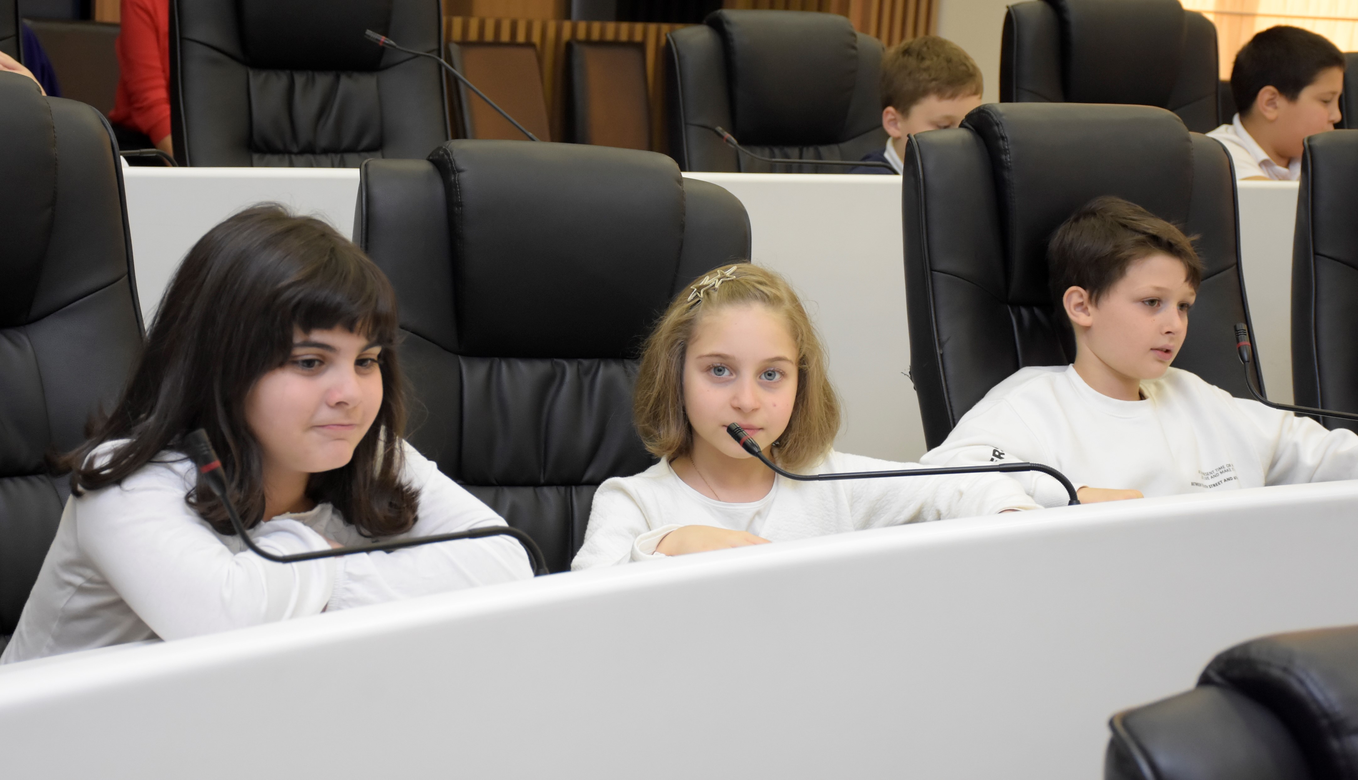 ბათუმის პირველი საჯარო სკოლის მესამე კლასის მოსწავლეები უმაღლეს საბჭოს ესტუმრნენ