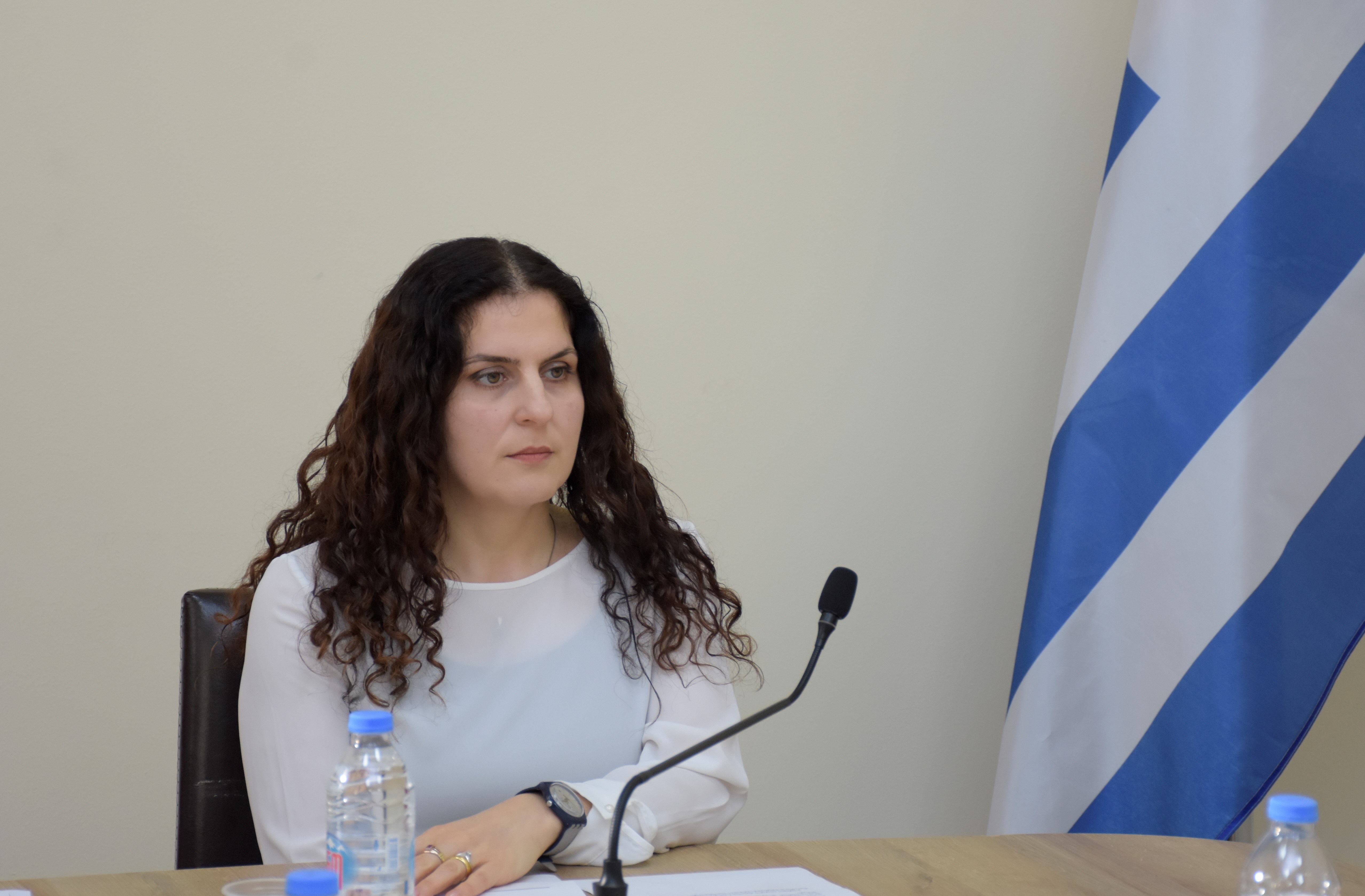 საფინანსო-საბიუჯეტო და ეკონომიკურ საკითხთა  კომიტეტის სხდომა