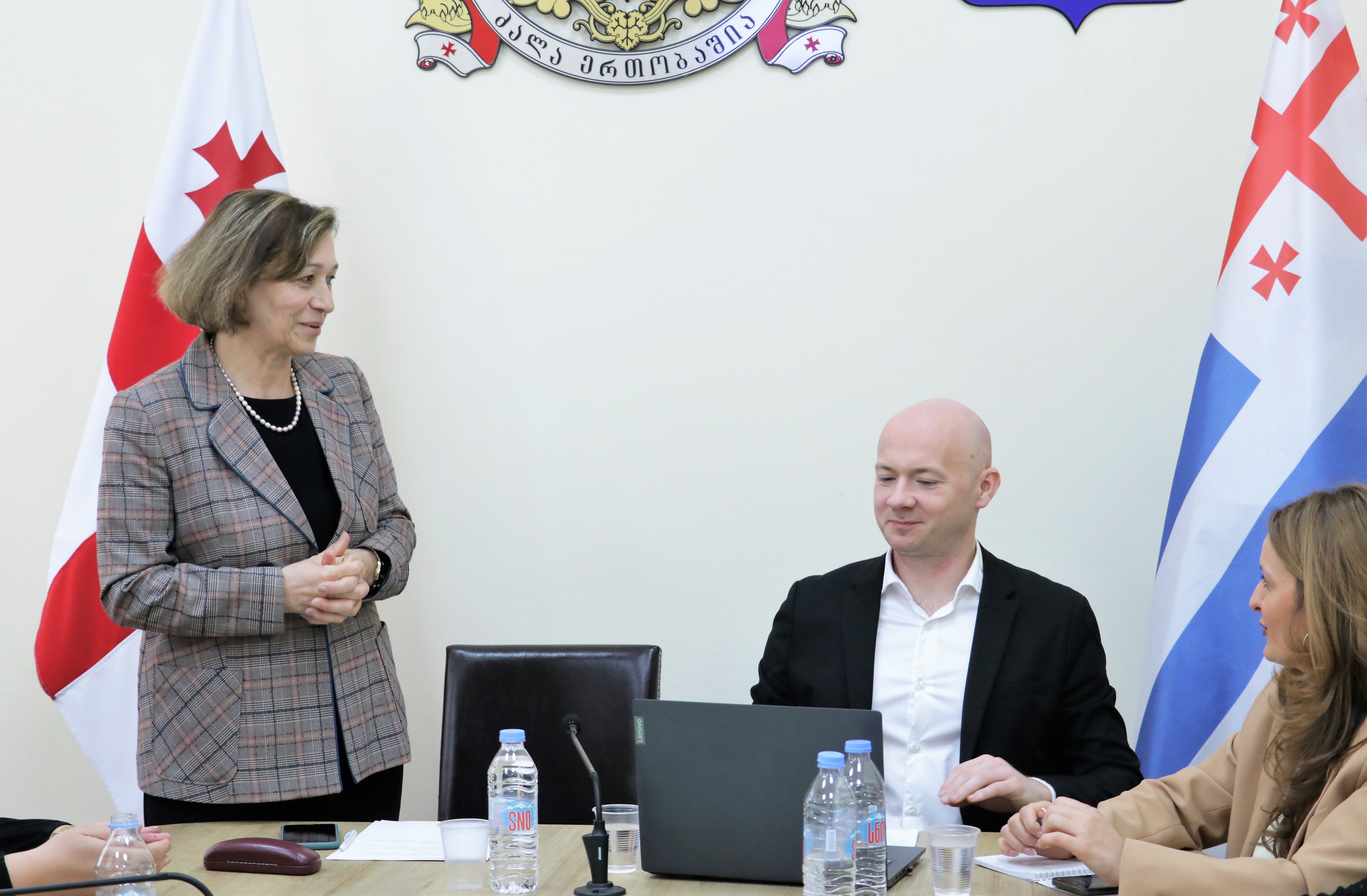  შეხვედრა გენდერული თანასწორობის სტრატეგიის ფარგლებში 