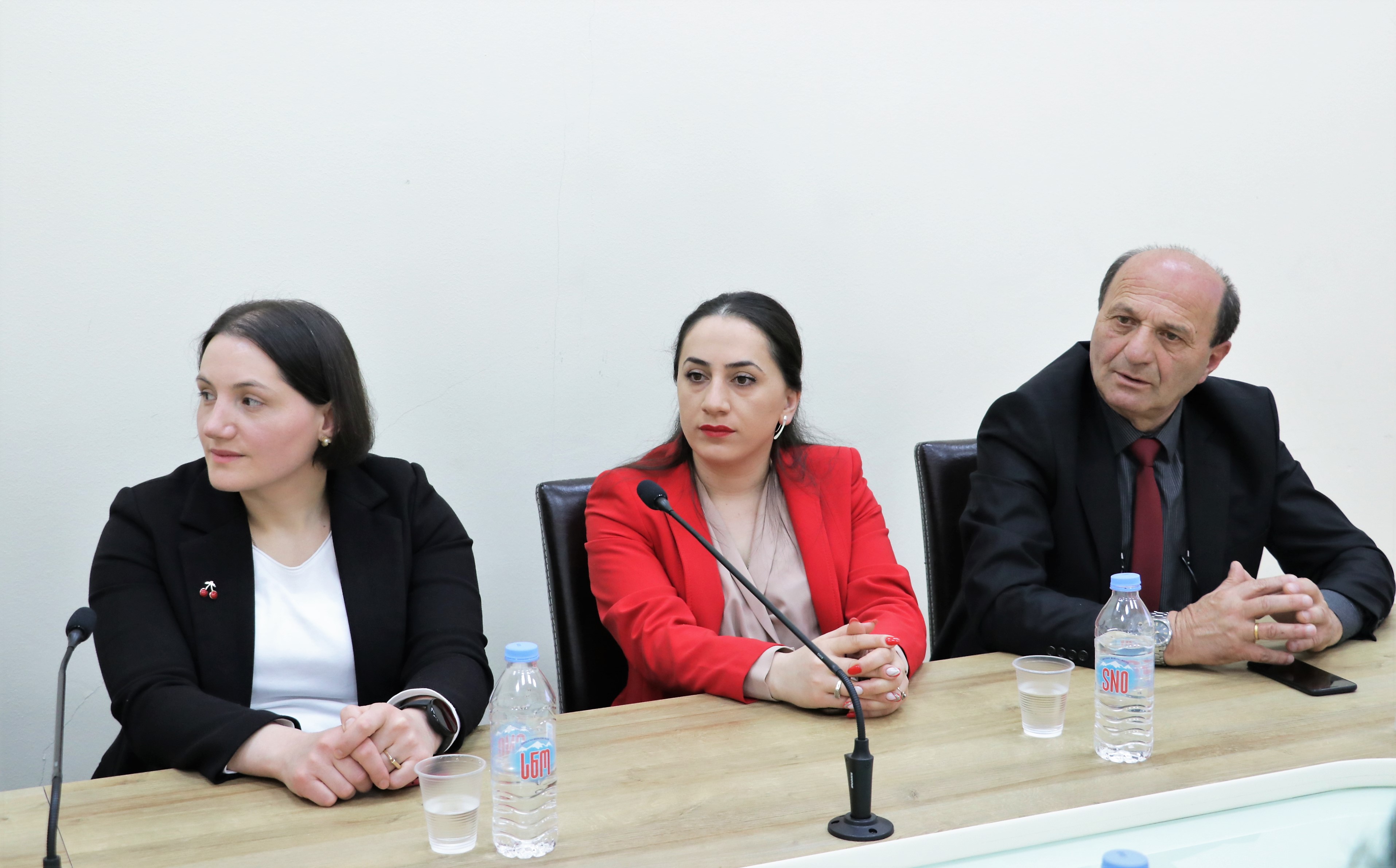  შეხვედრა გენდერული თანასწორობის სტრატეგიის ფარგლებში 