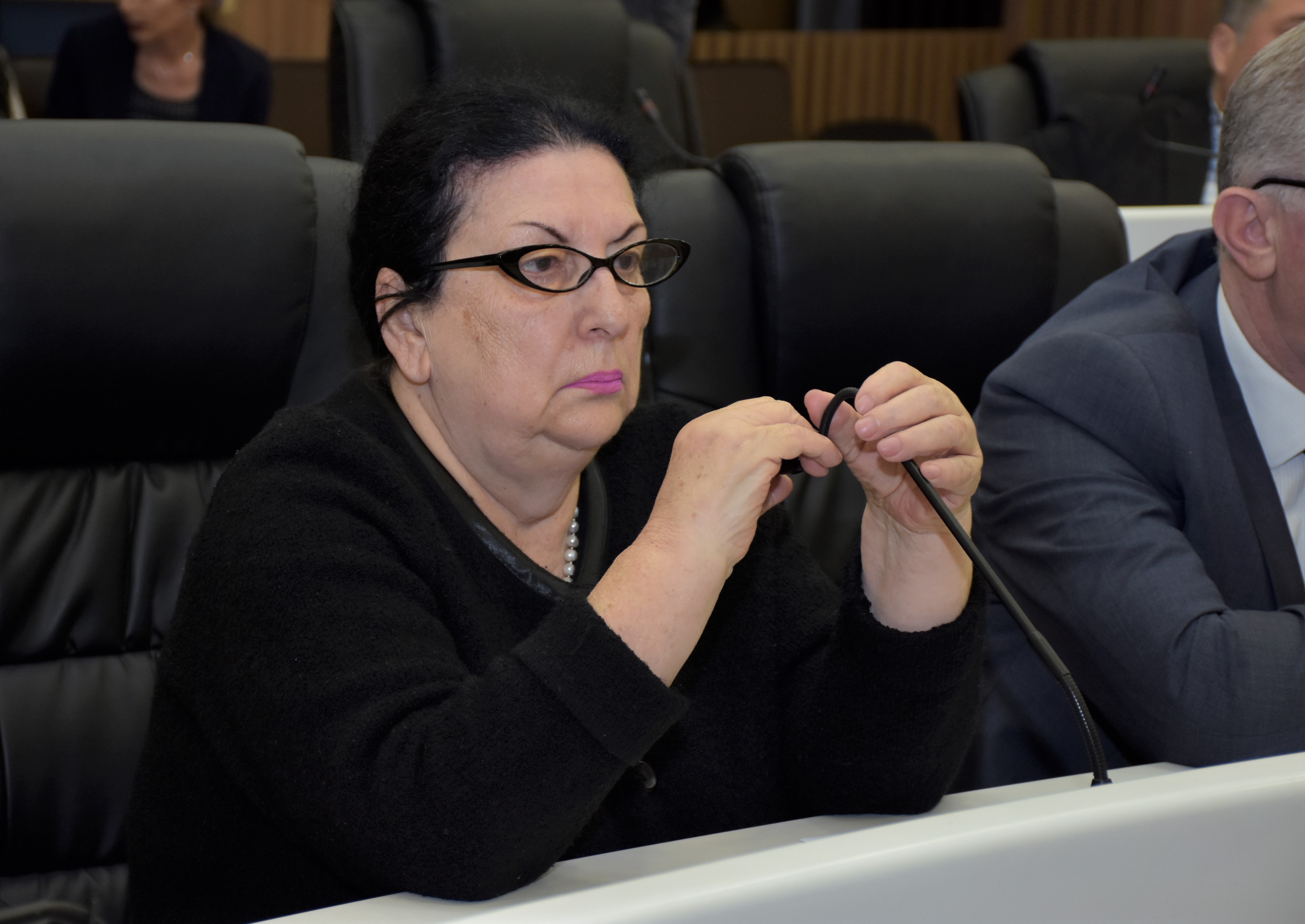 პლენარული სხდომა - მინისტრის საათი