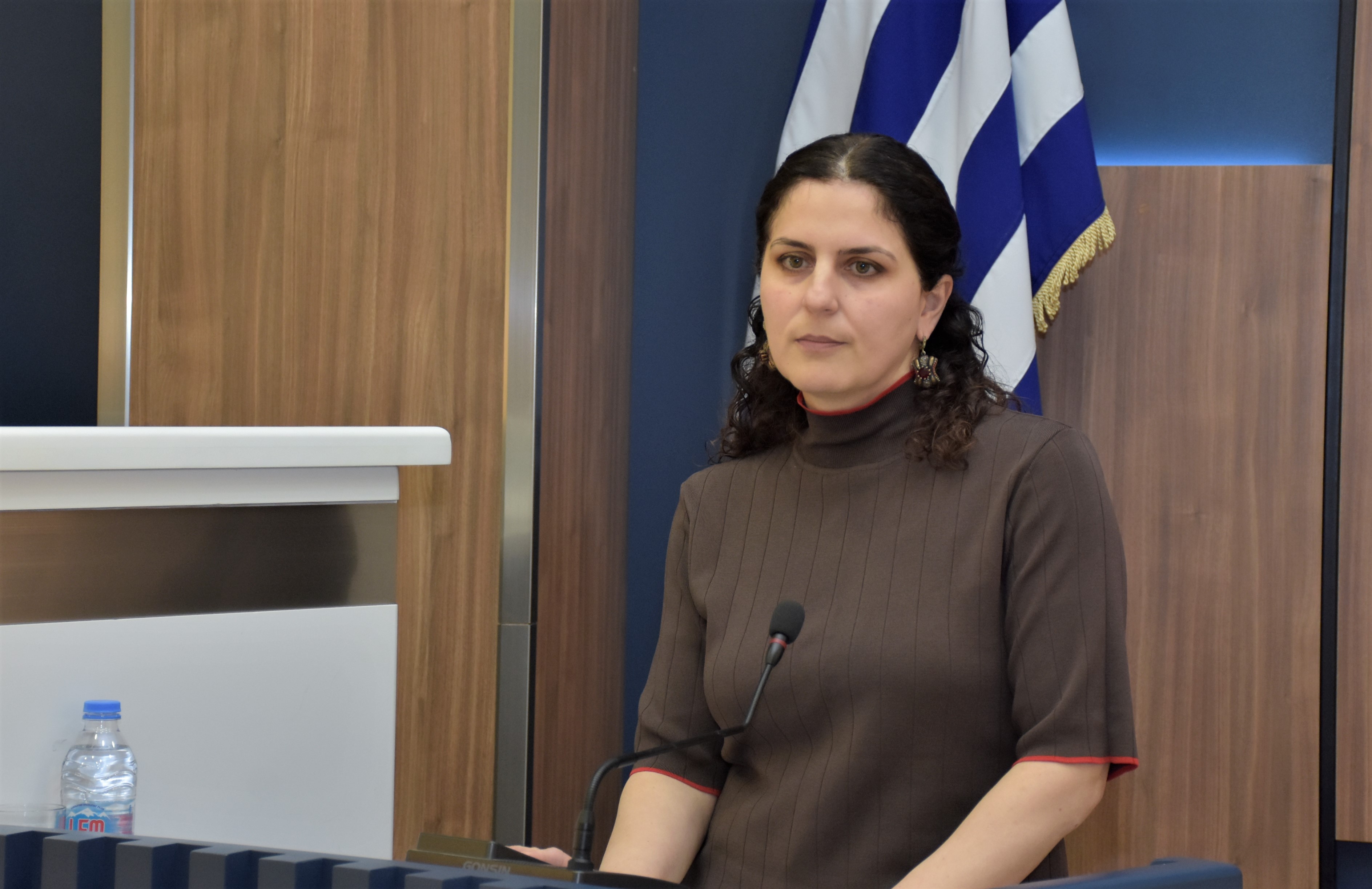 პლენარული სხდომა - მინისტრის საათი