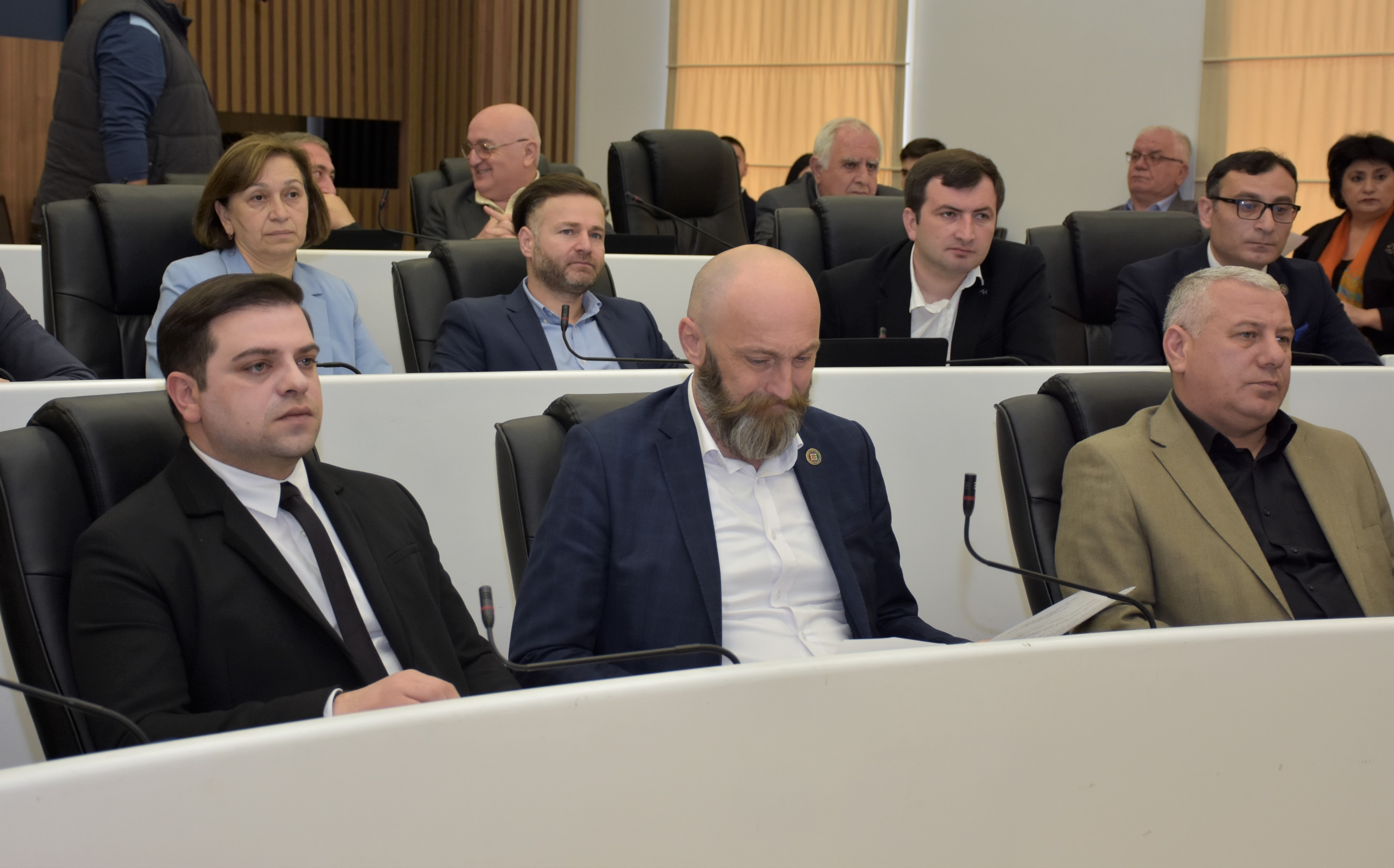 პლენარული სხდომა - მინისტრის საათი