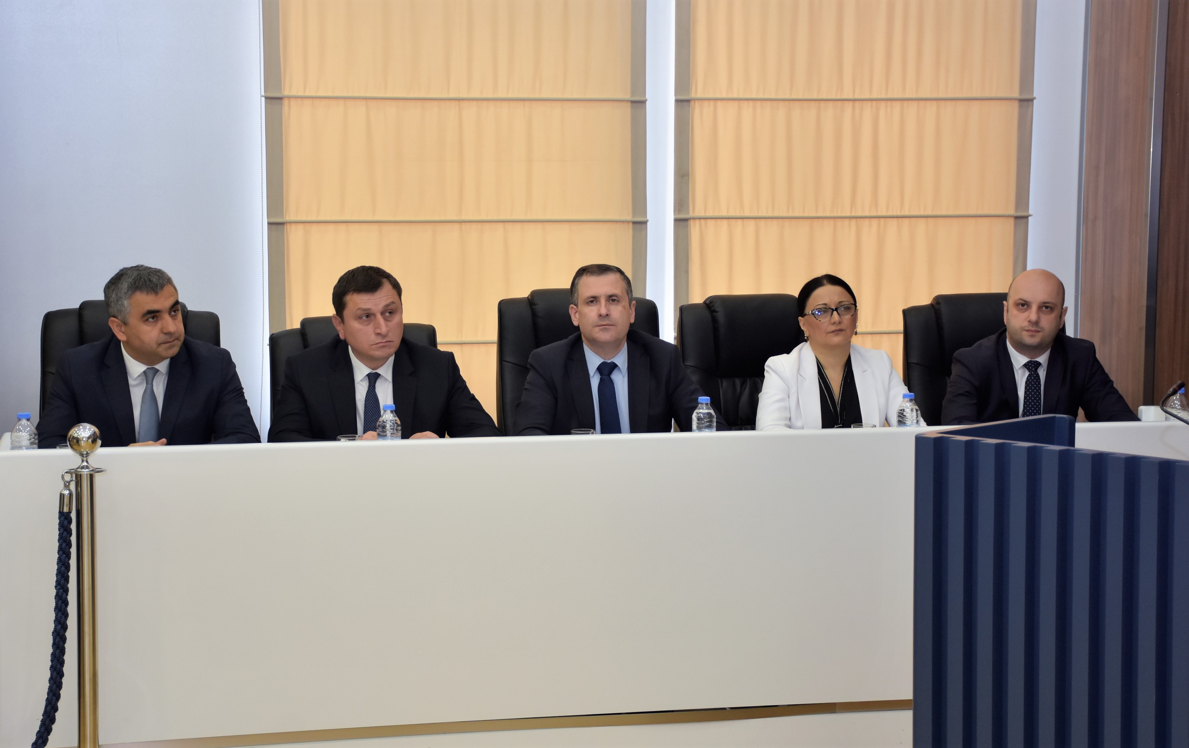 პლენარული სხდომა - მინისტრის საათი