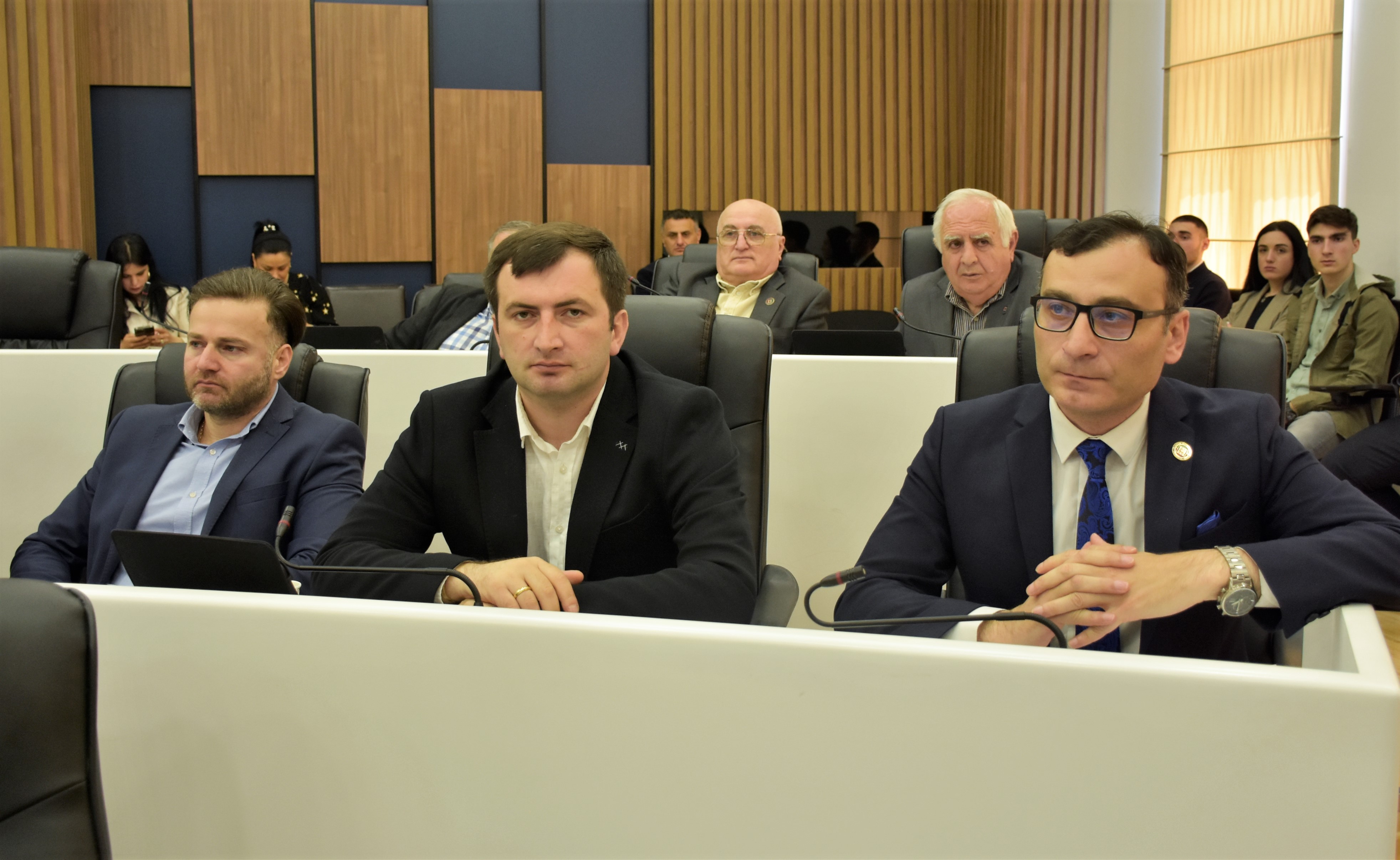 პლენარული სხდომა - მინისტრის საათი