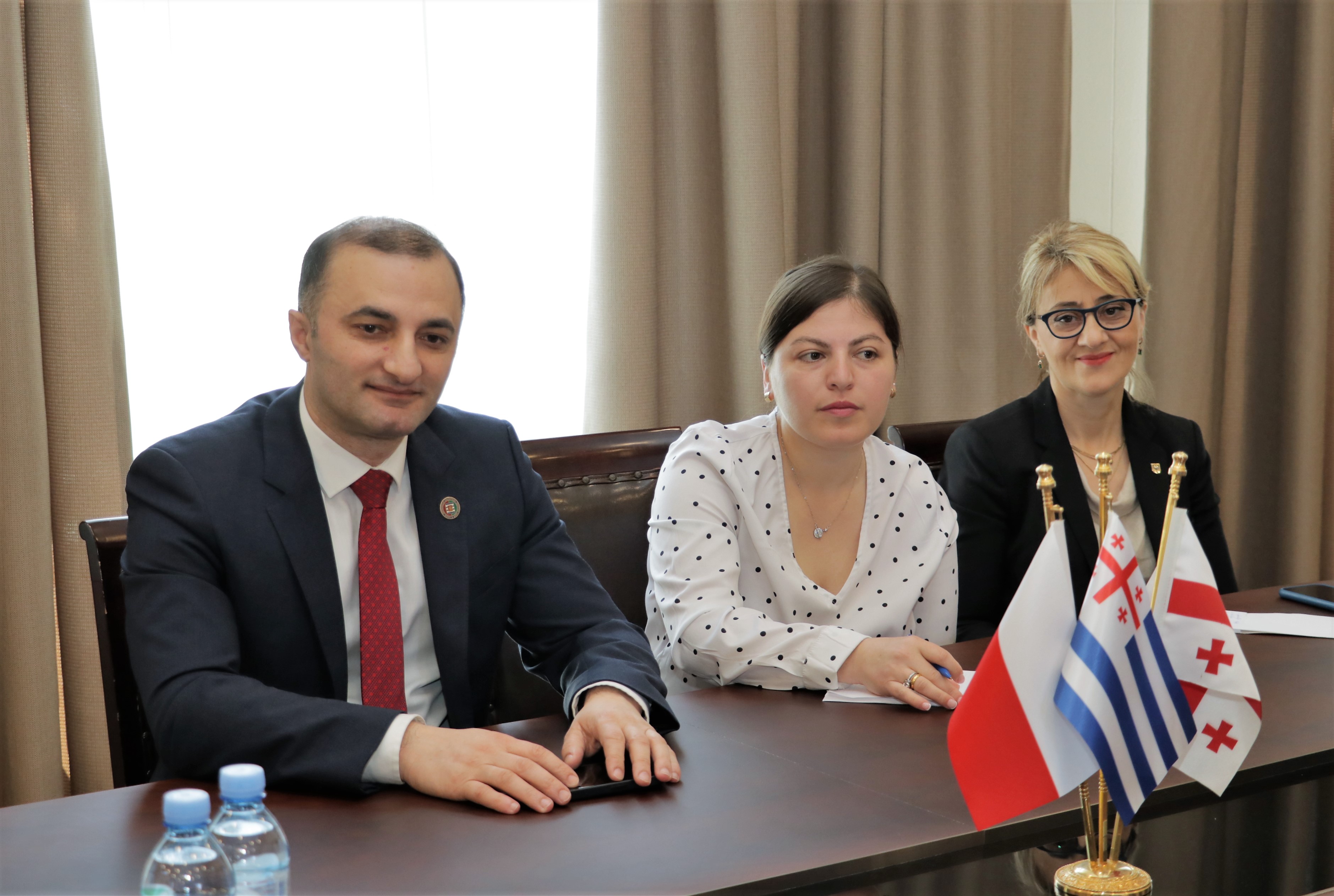 დავით გაბაიძემ ქვემო სილეზიის დელეგაციას უმასპინძლა 