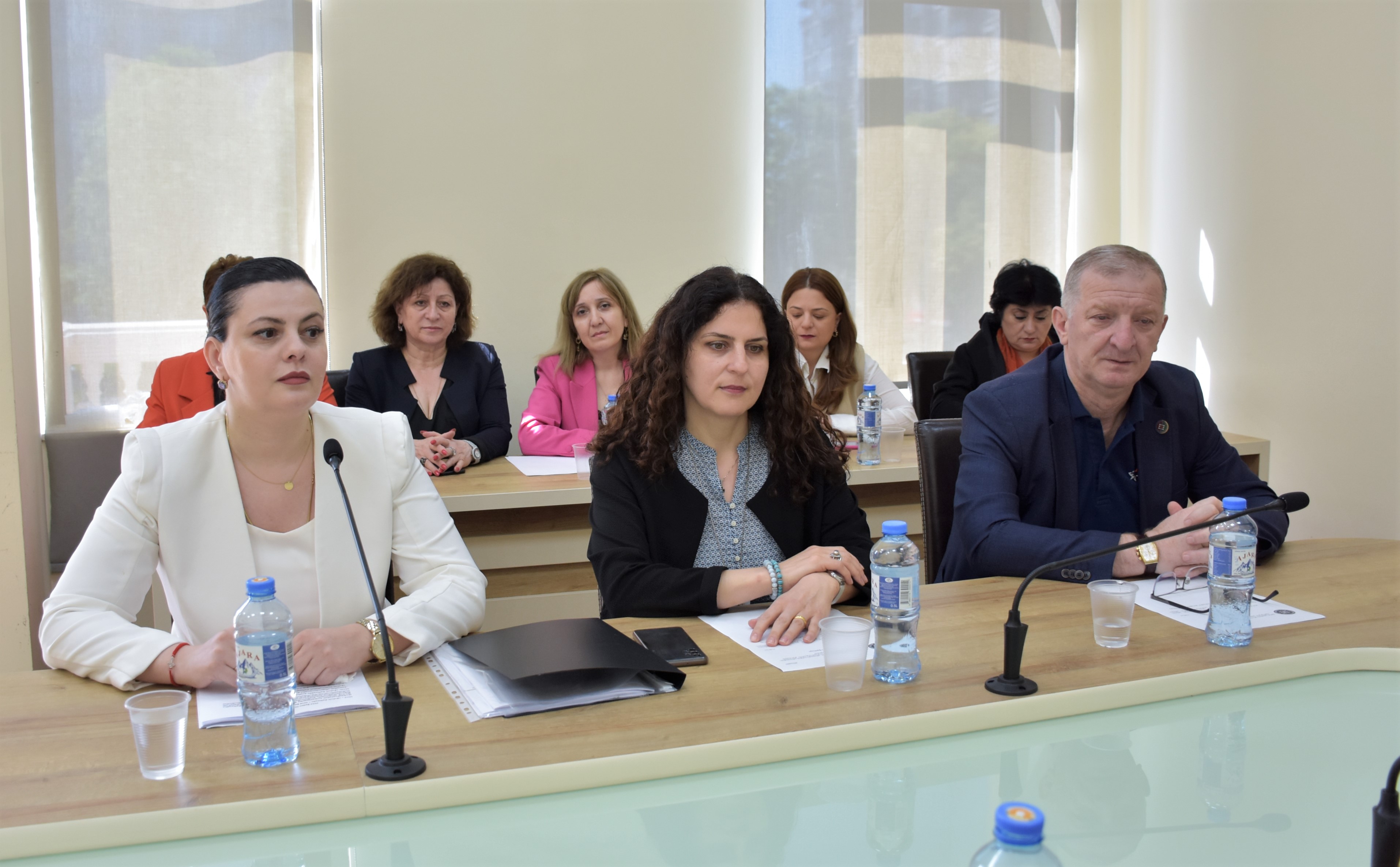 განათლების, მეცნიერების, კულტურისა და სპორტის საკითხთა კომიტეტის სხდომა