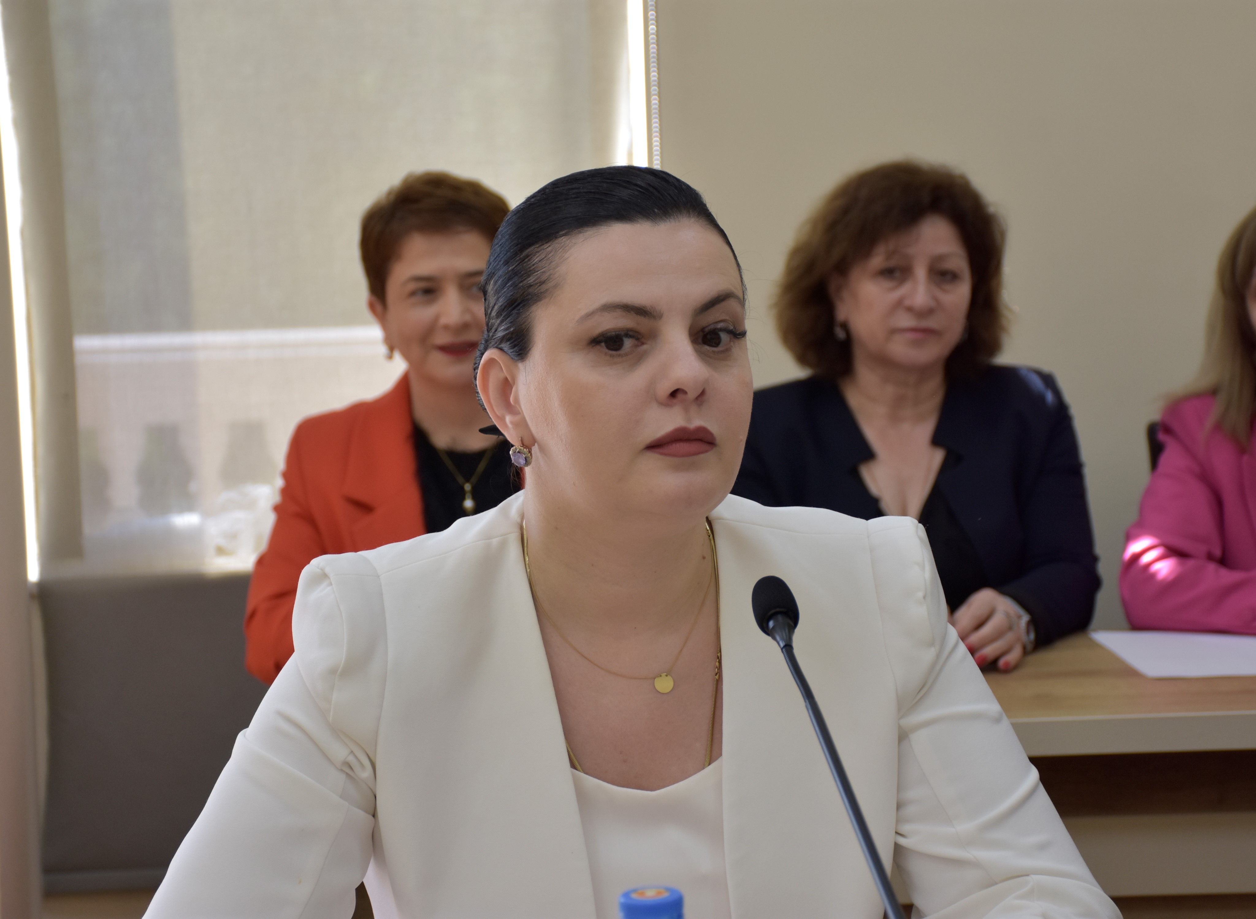 განათლების, მეცნიერების, კულტურისა და სპორტის საკითხთა კომიტეტის სხდომა