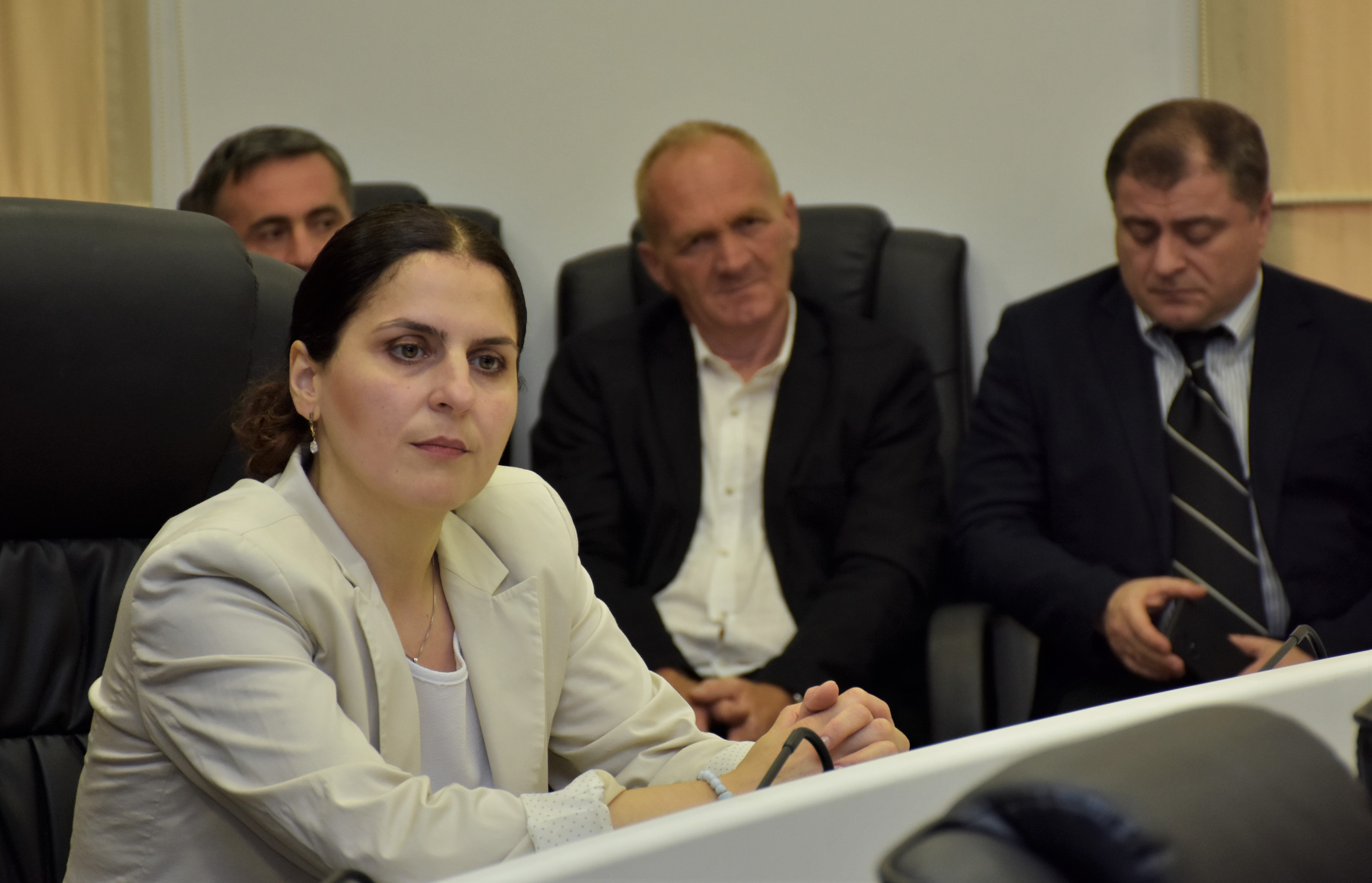 პარლამენტის გარემოსა და ბუნებრივი რესურსების კომიტეტის გასვლითი სხდომა