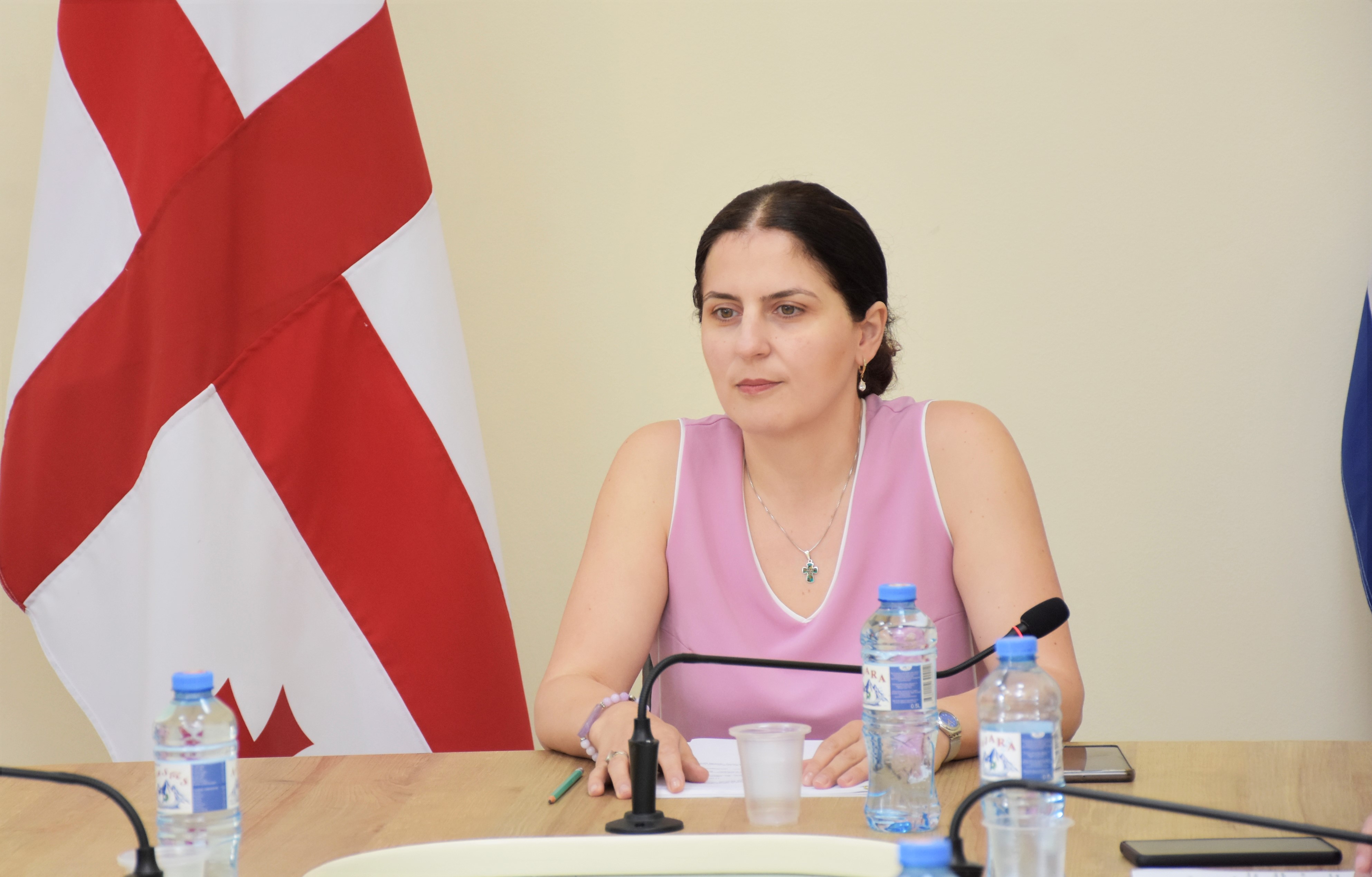 საფინანსო-საბიუჯეტო და ეკონომიკურ საკითხთა კომიტეტის სხდომა