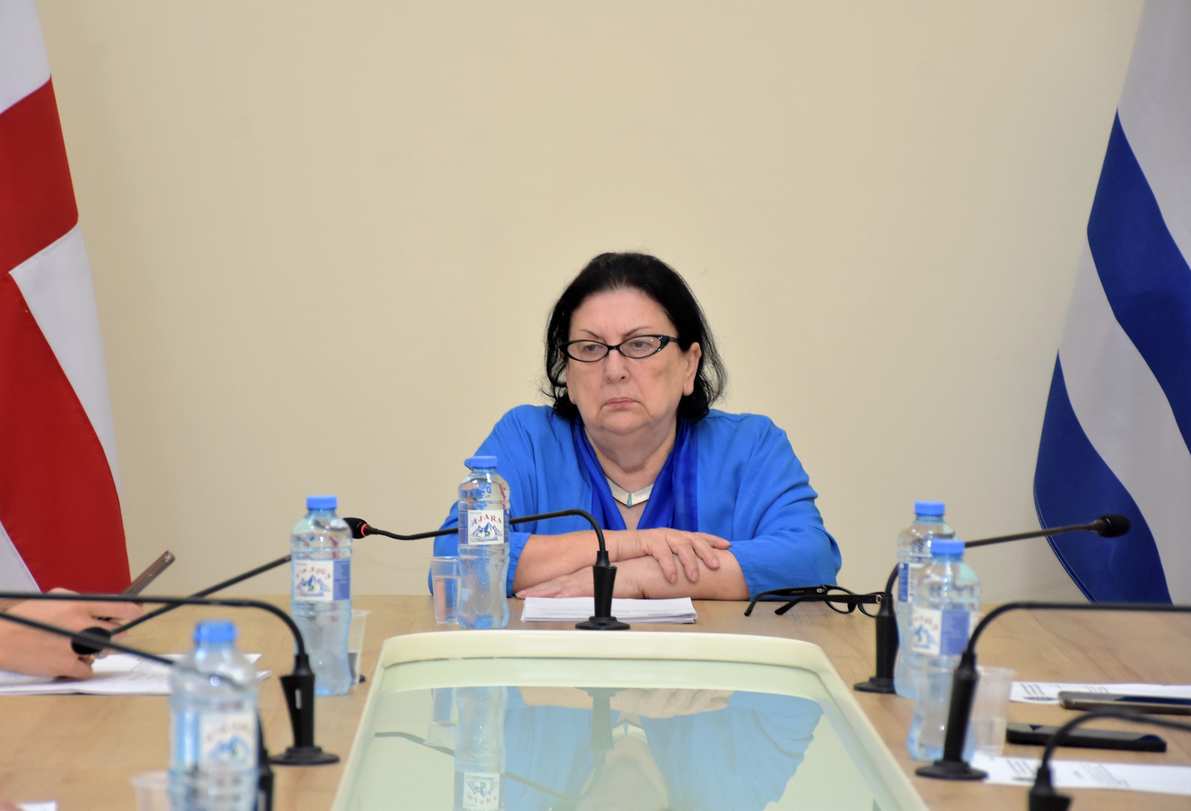 საკონსტიტუციო, იურიდიულ და საპროცედურო საკითხთა კომიტეტის სხდომა