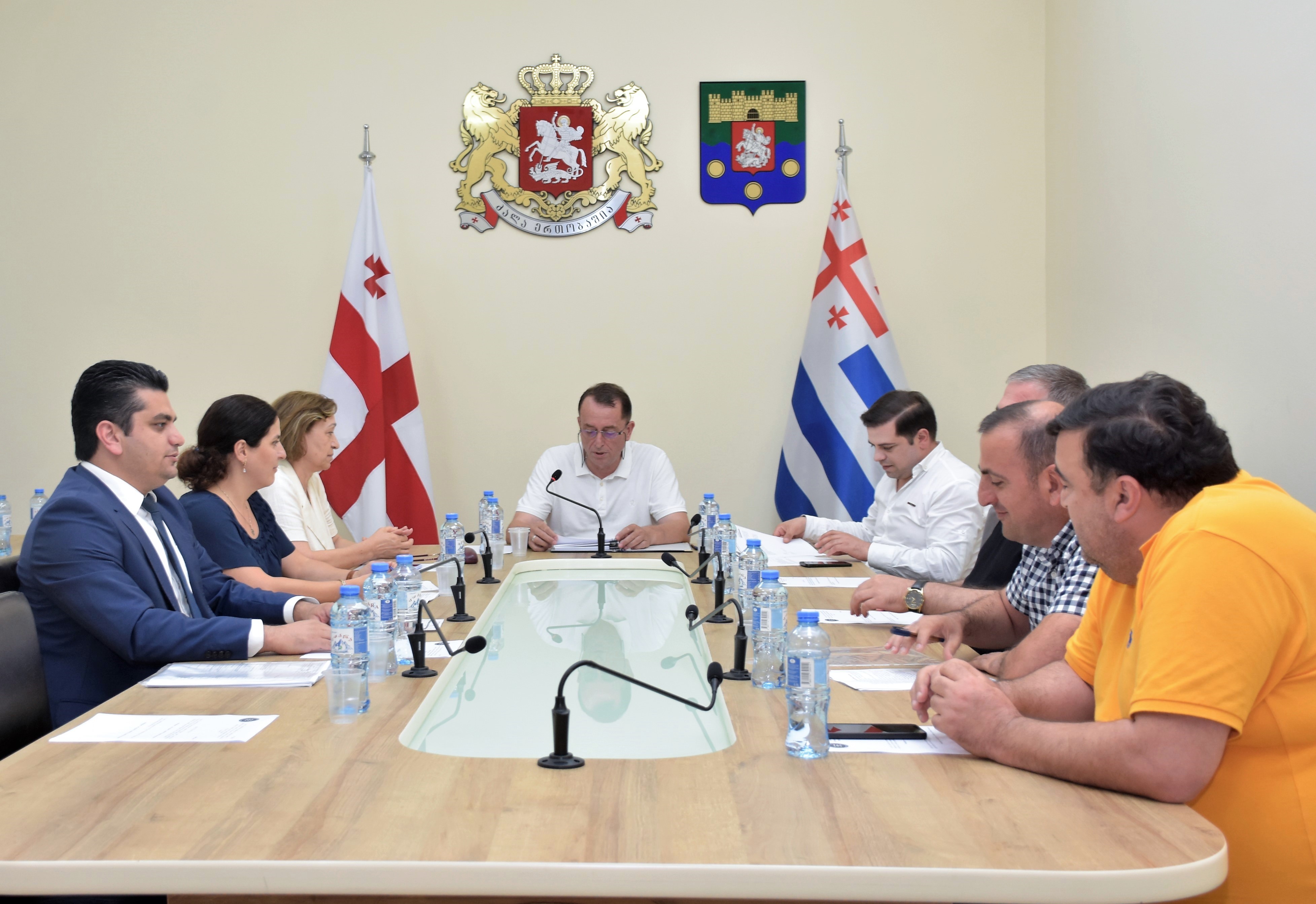 ჯანმრთელობის დაცვისა და სოციალურ საკითხთა და ადამიანის უფლებათა დაცვის საკითხთა კომიტეტების ერთობლივ სხდომა