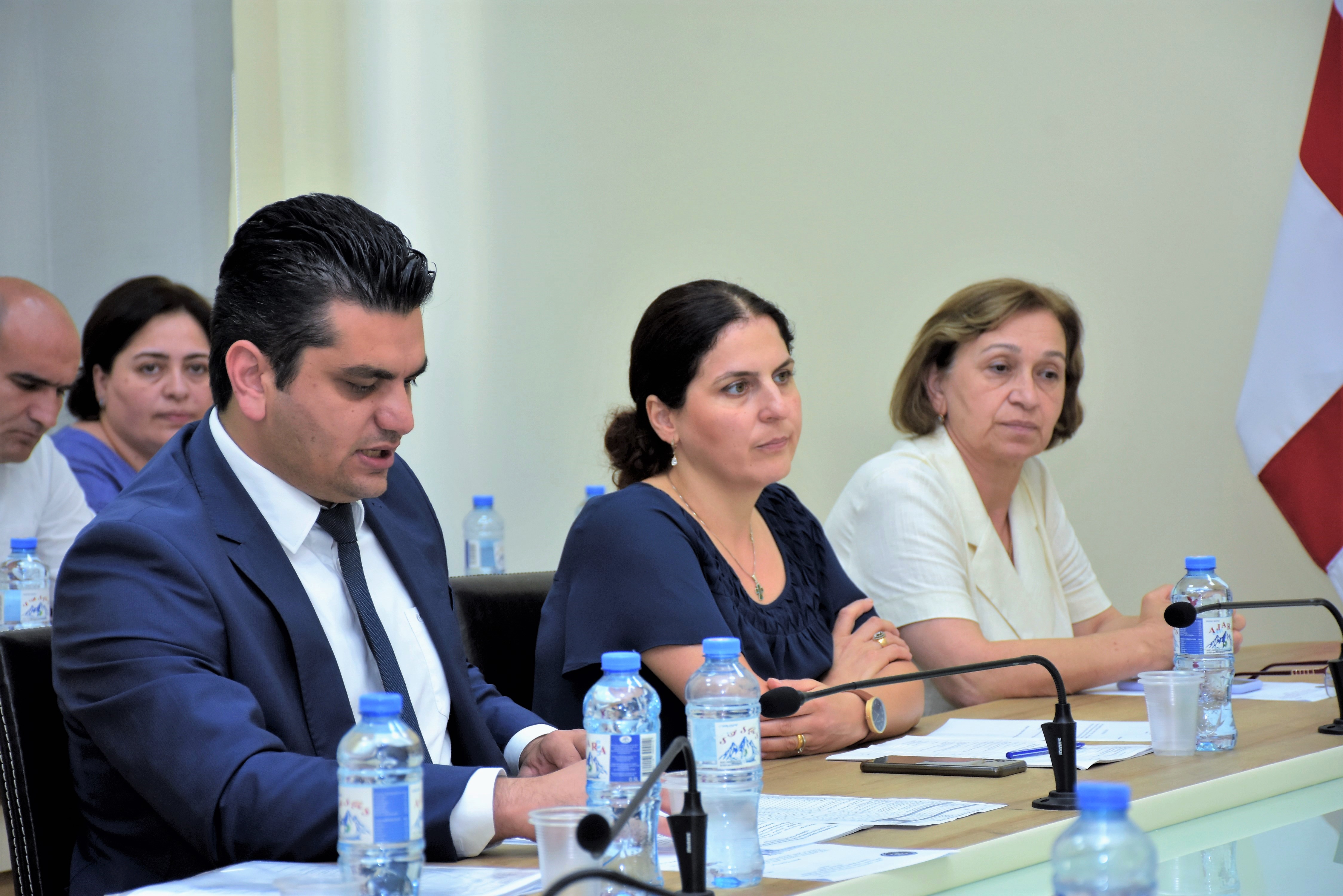 ჯანმრთელობის დაცვისა და სოციალურ საკითხთა და ადამიანის უფლებათა დაცვის საკითხთა კომიტეტების ერთობლივ სხდომა