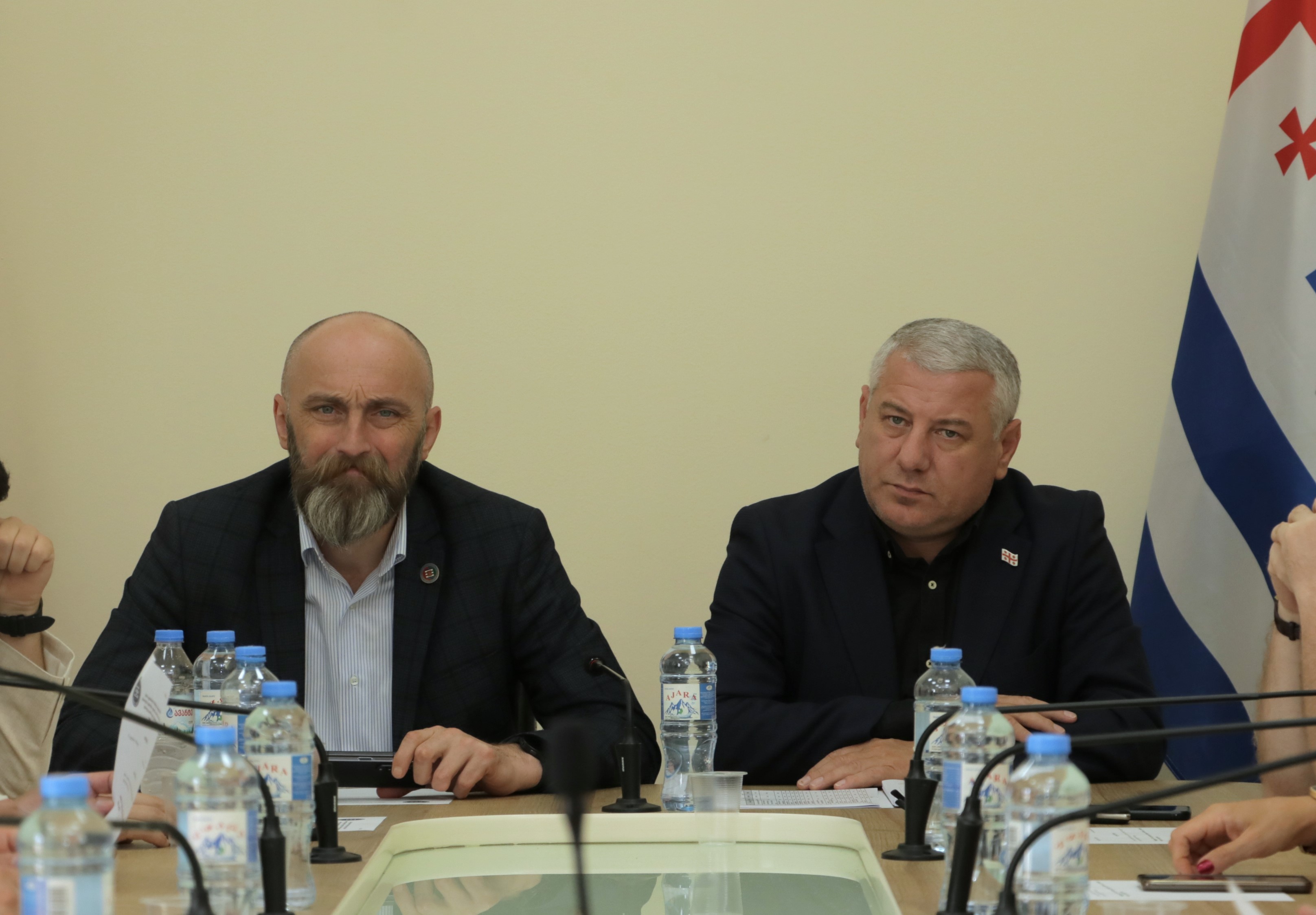 კომიტეტებმა ბიუჯეტის შესრულების მიმოხილვა ცნობად მიიღეს