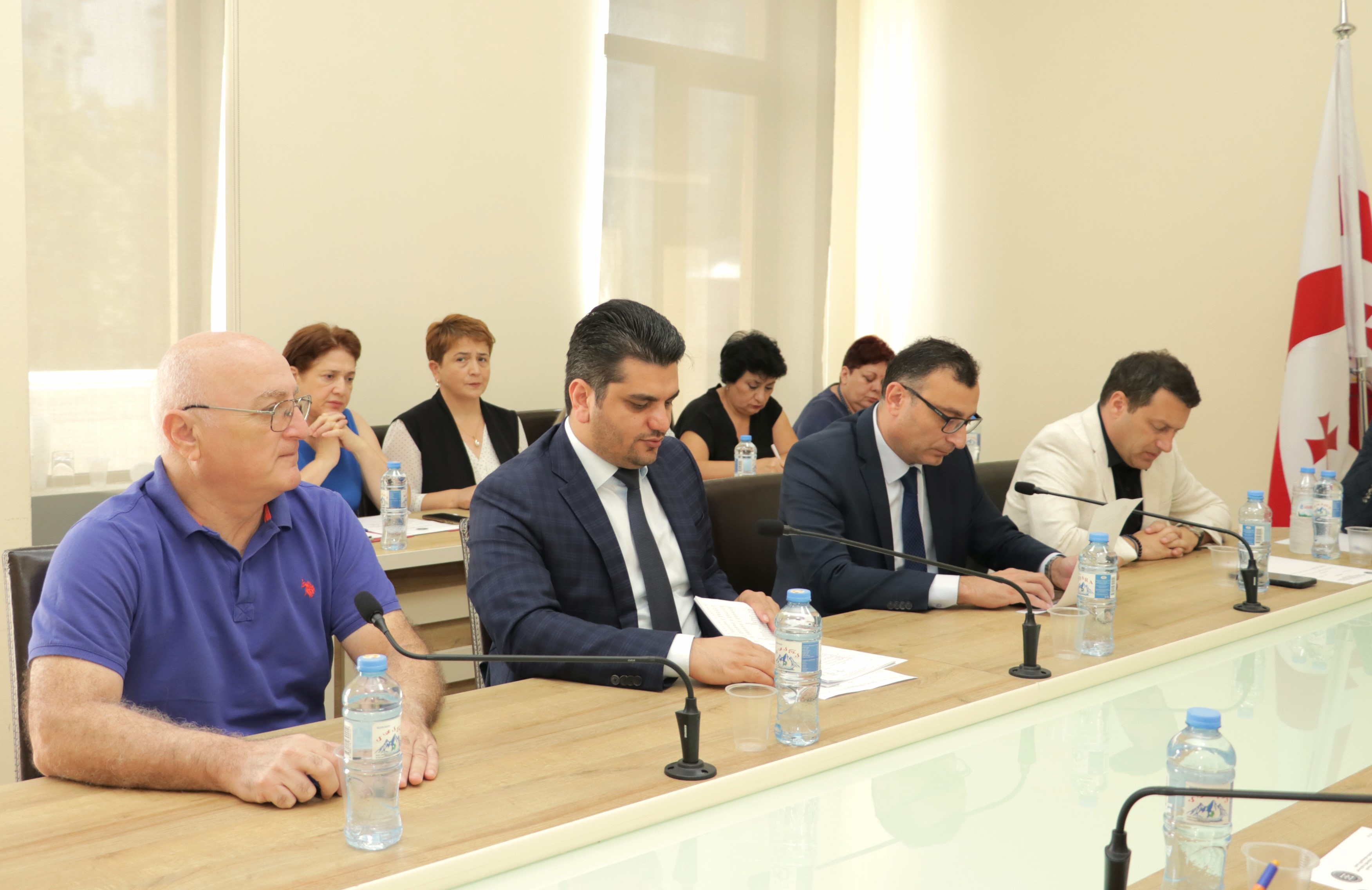 კომიტეტებმა ბიუჯეტის შესრულების მიმოხილვა ცნობად მიიღეს