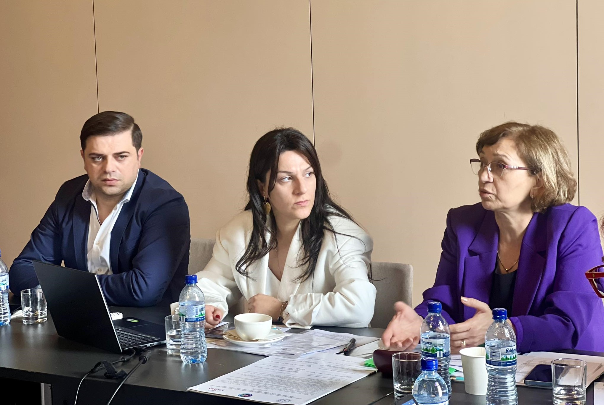 გენდერული თანასწორობის საკითხებზე მომუშავე უწყებათაშორისი საკოორდინაციო კომისიის სამუშაო შეხვედრა